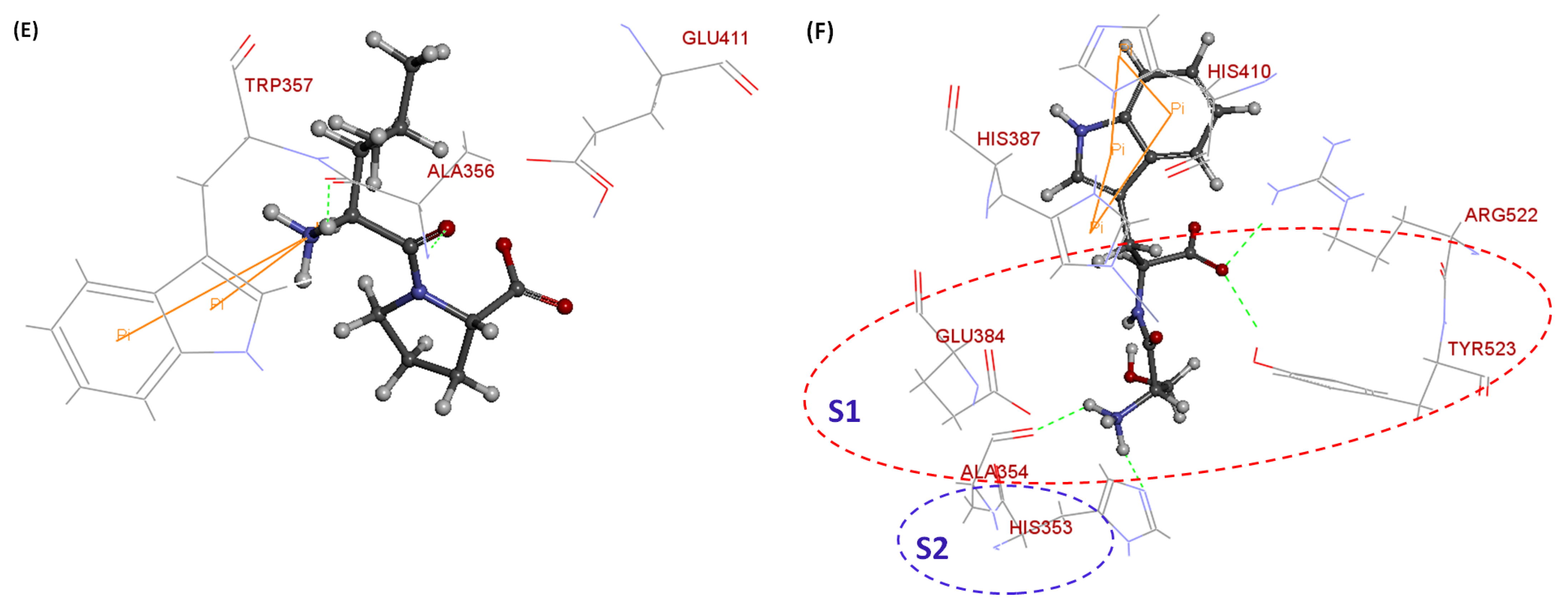 Applsci 12 12340 g004b Applsci 12 12340 g004b