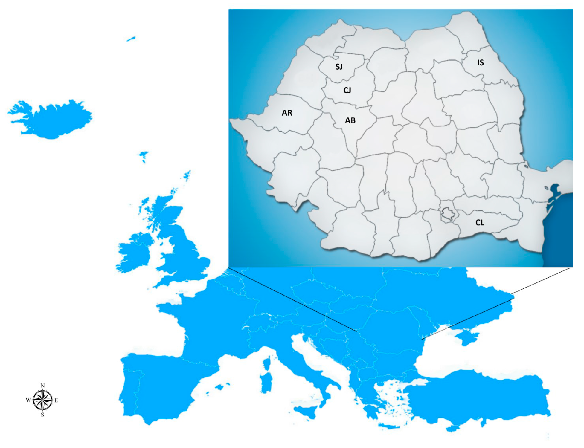 Applsci 12 12391 g001 Applsci 12 12391 g001