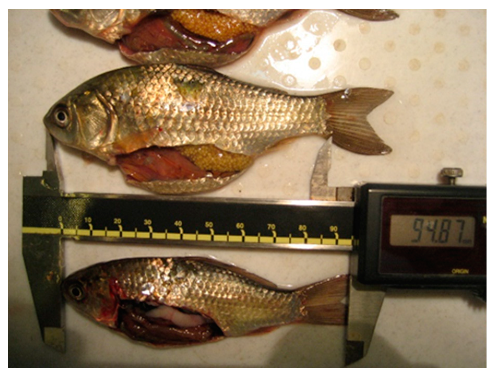 Applsci 12 12446 g003