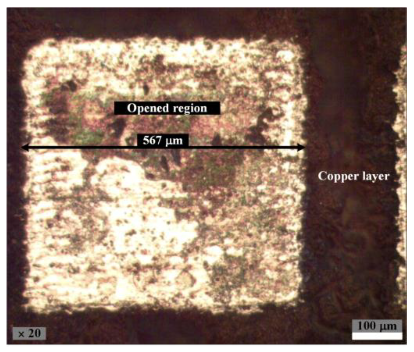 Applsci 12 12473 g003