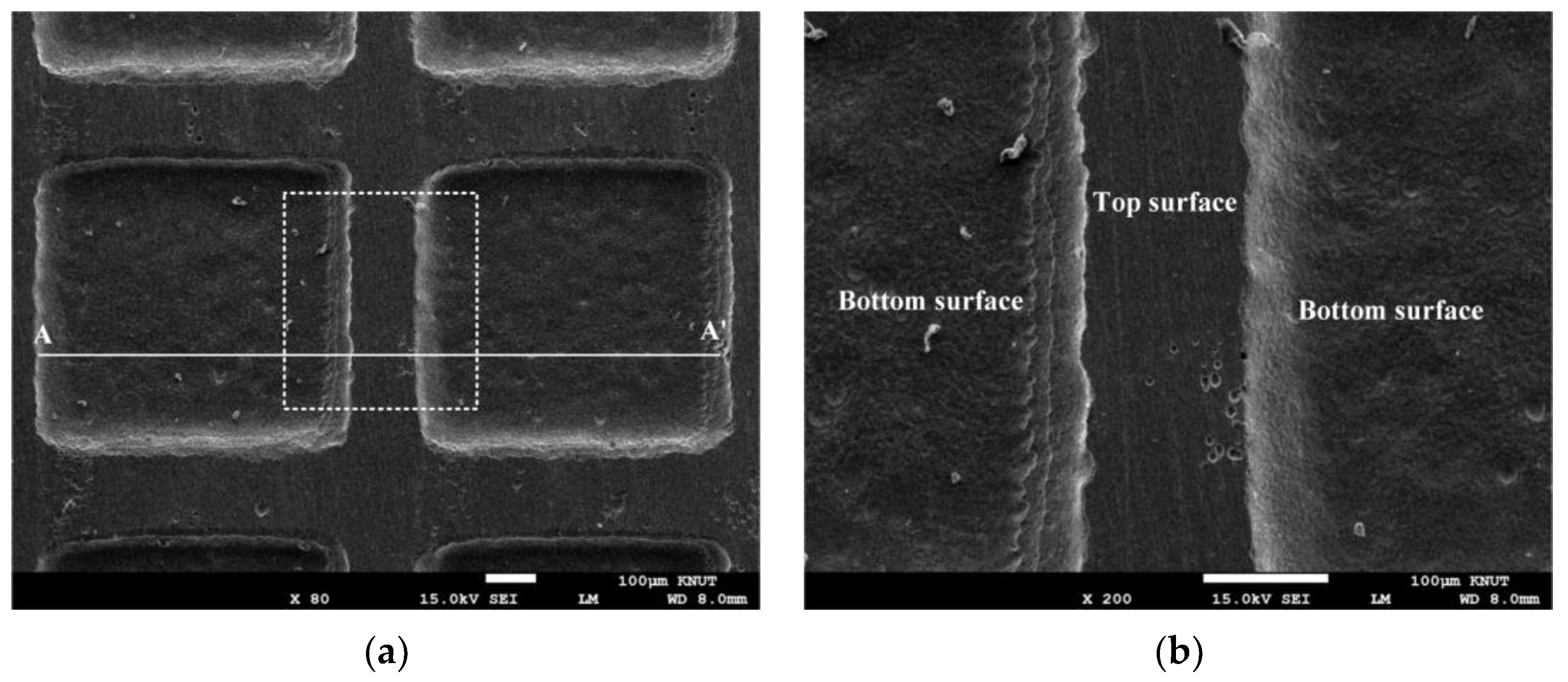 Applsci 12 12473 g005