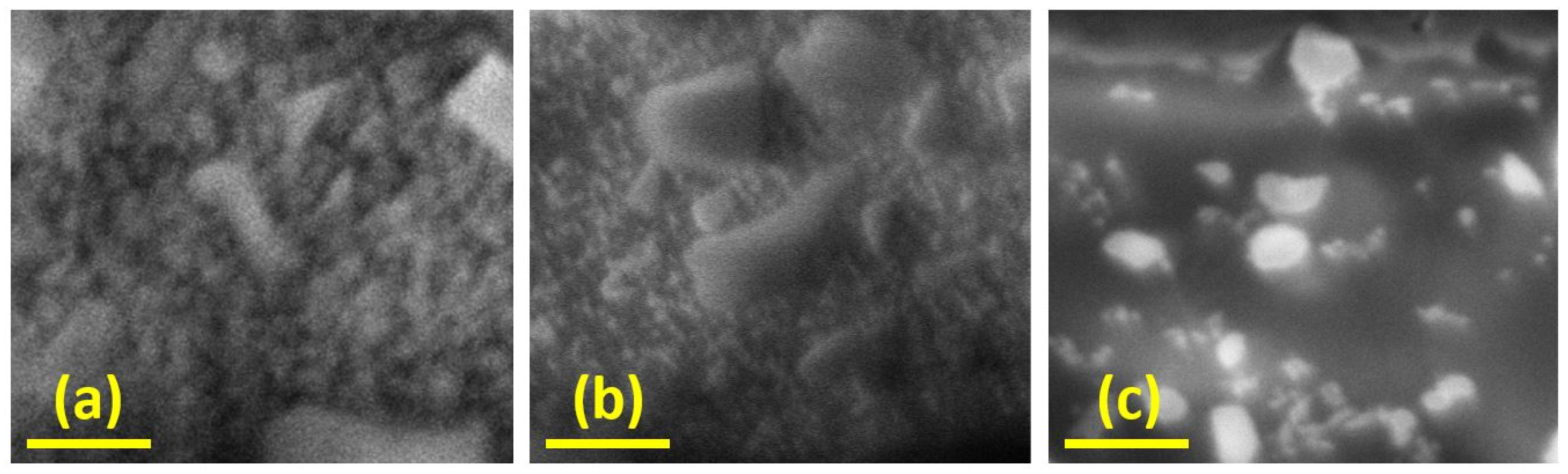 Applsci 12 12538 g004