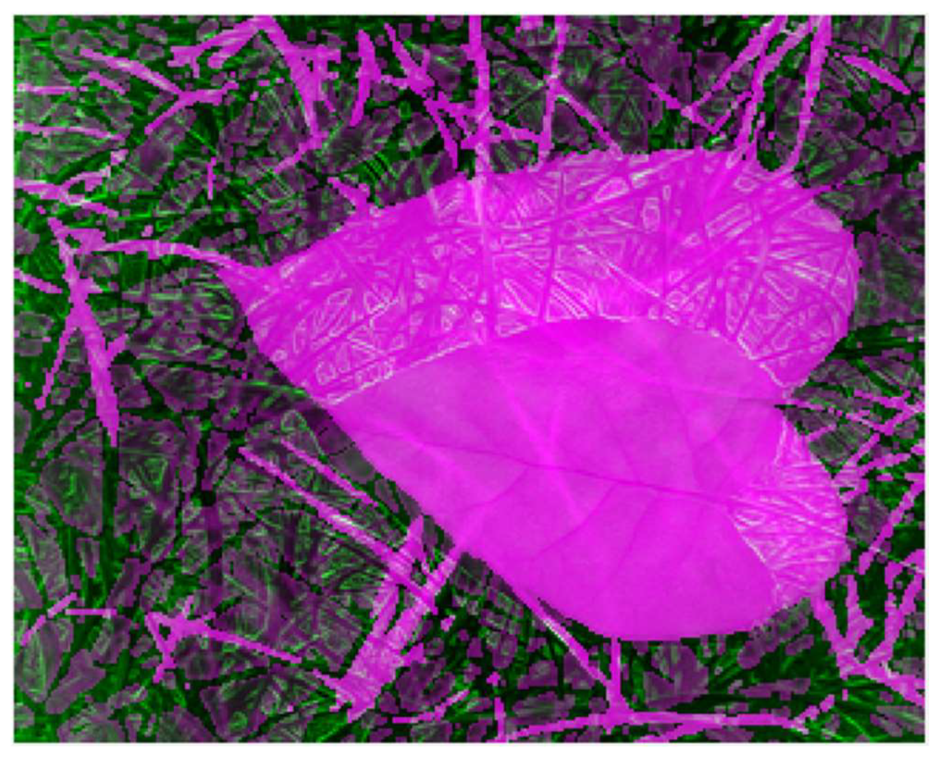 Applsci 12 12596 g007 Applsci 12 12596 g007