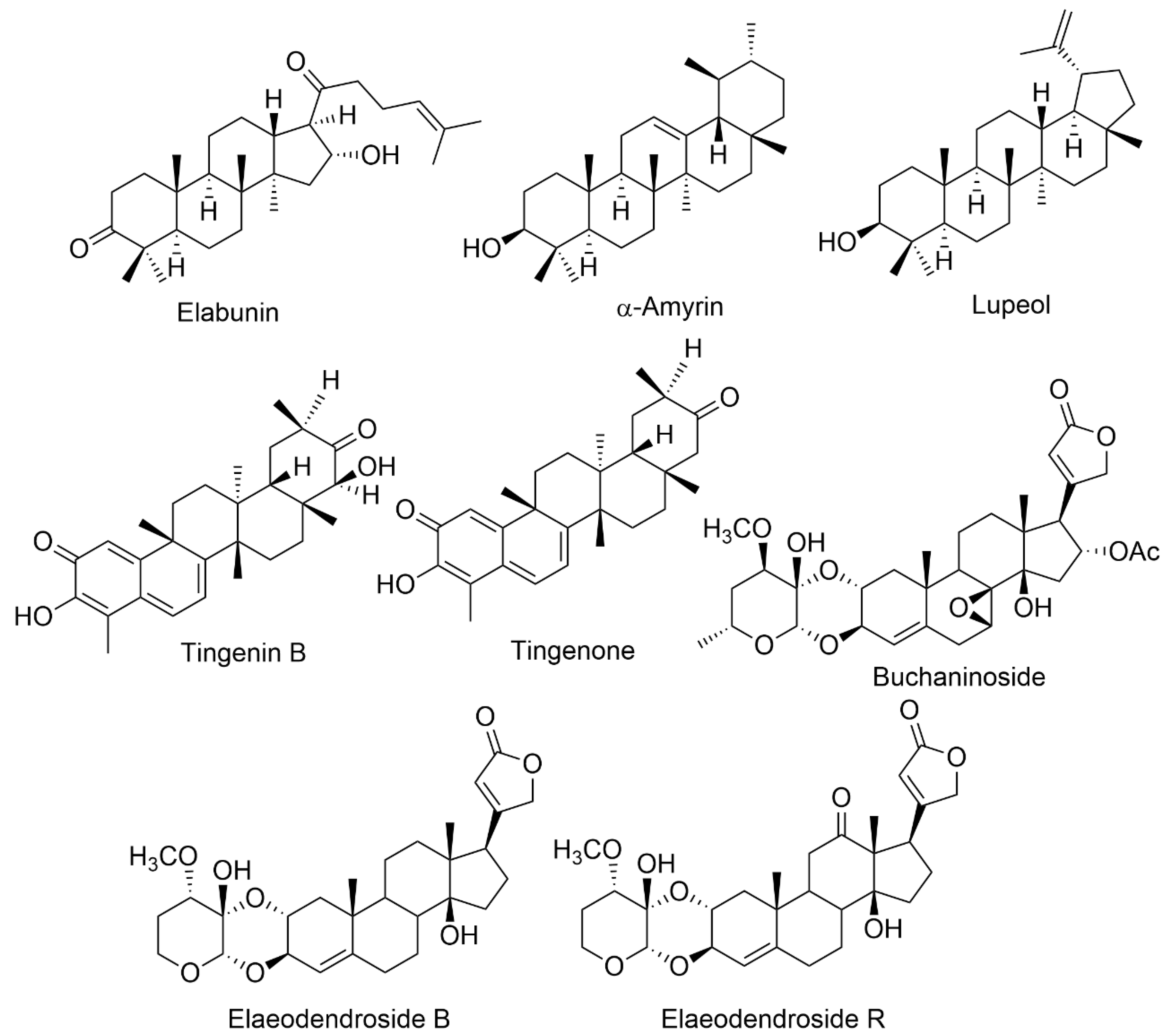 Applied Sciences | Free Full-Text | Bioactive Compounds From The Plants ...