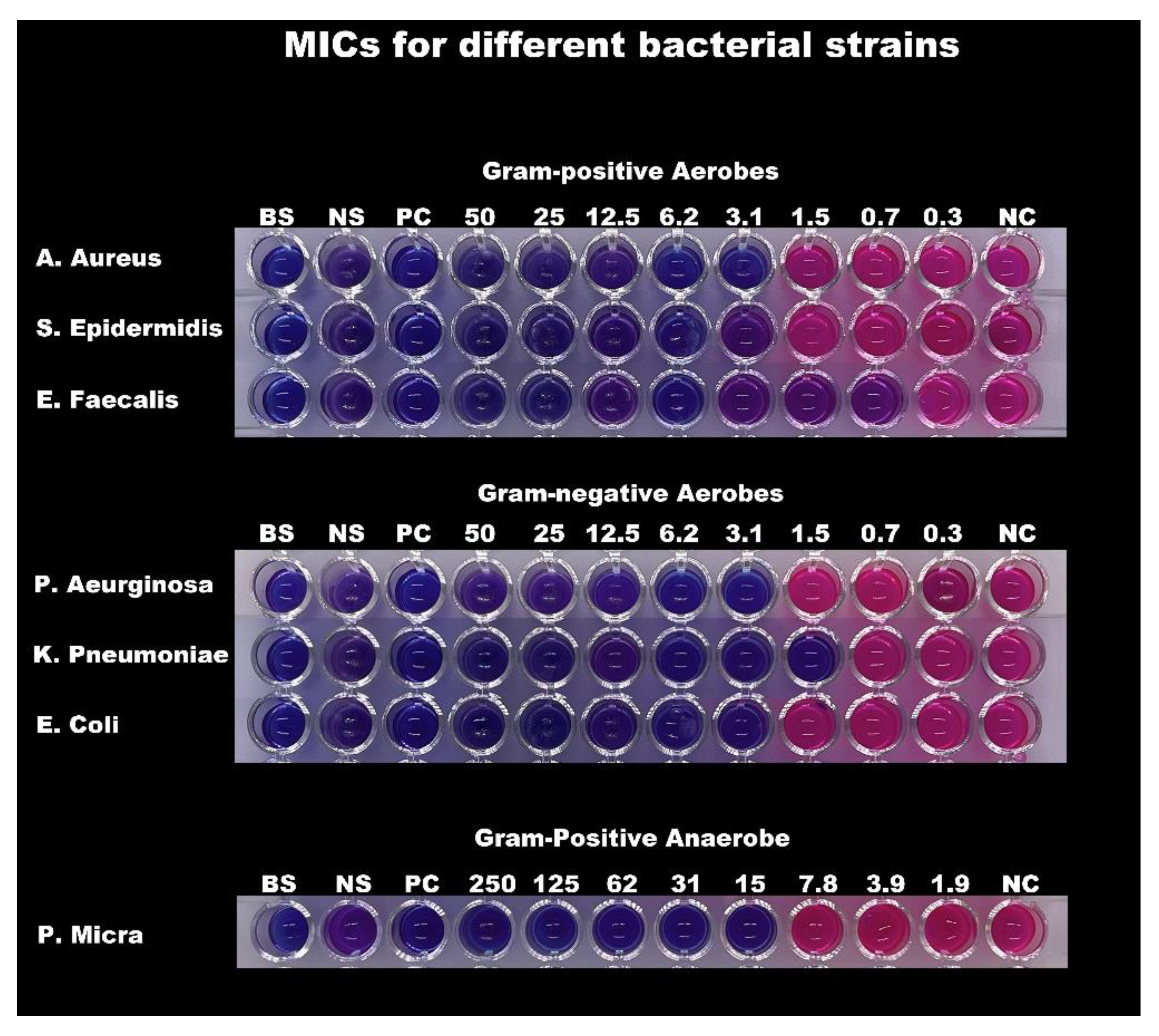 Applsci 12 12624 g003