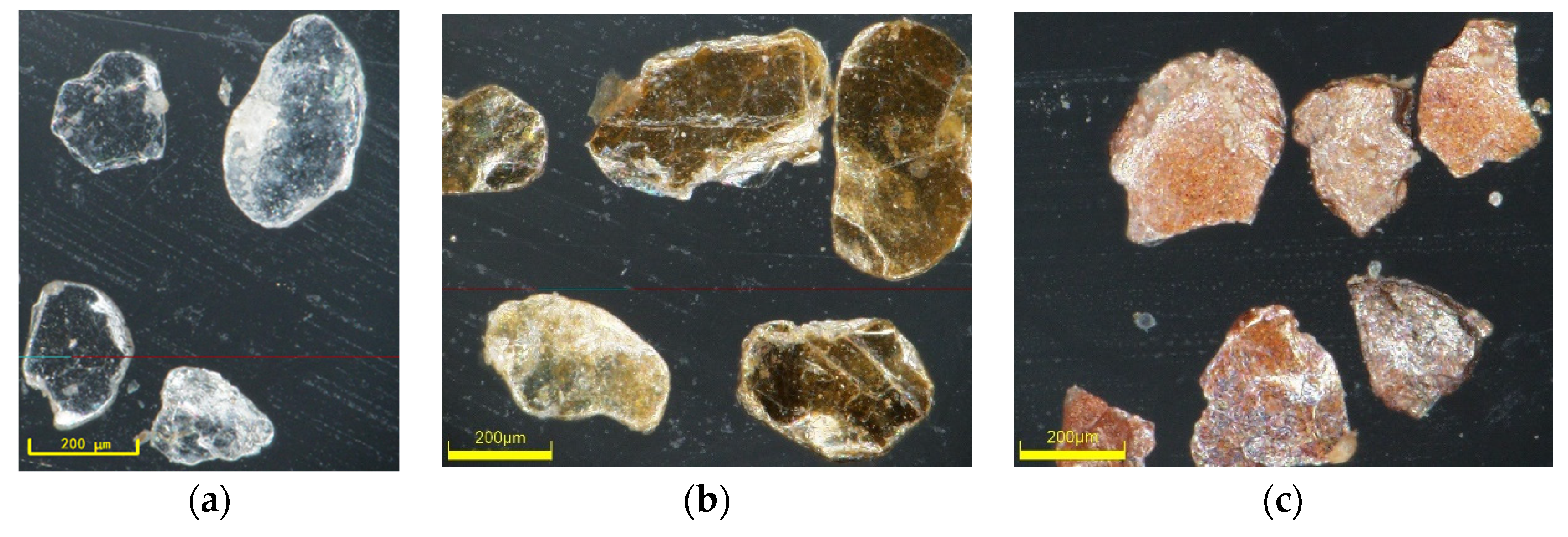 Applsci 12 12653 g002