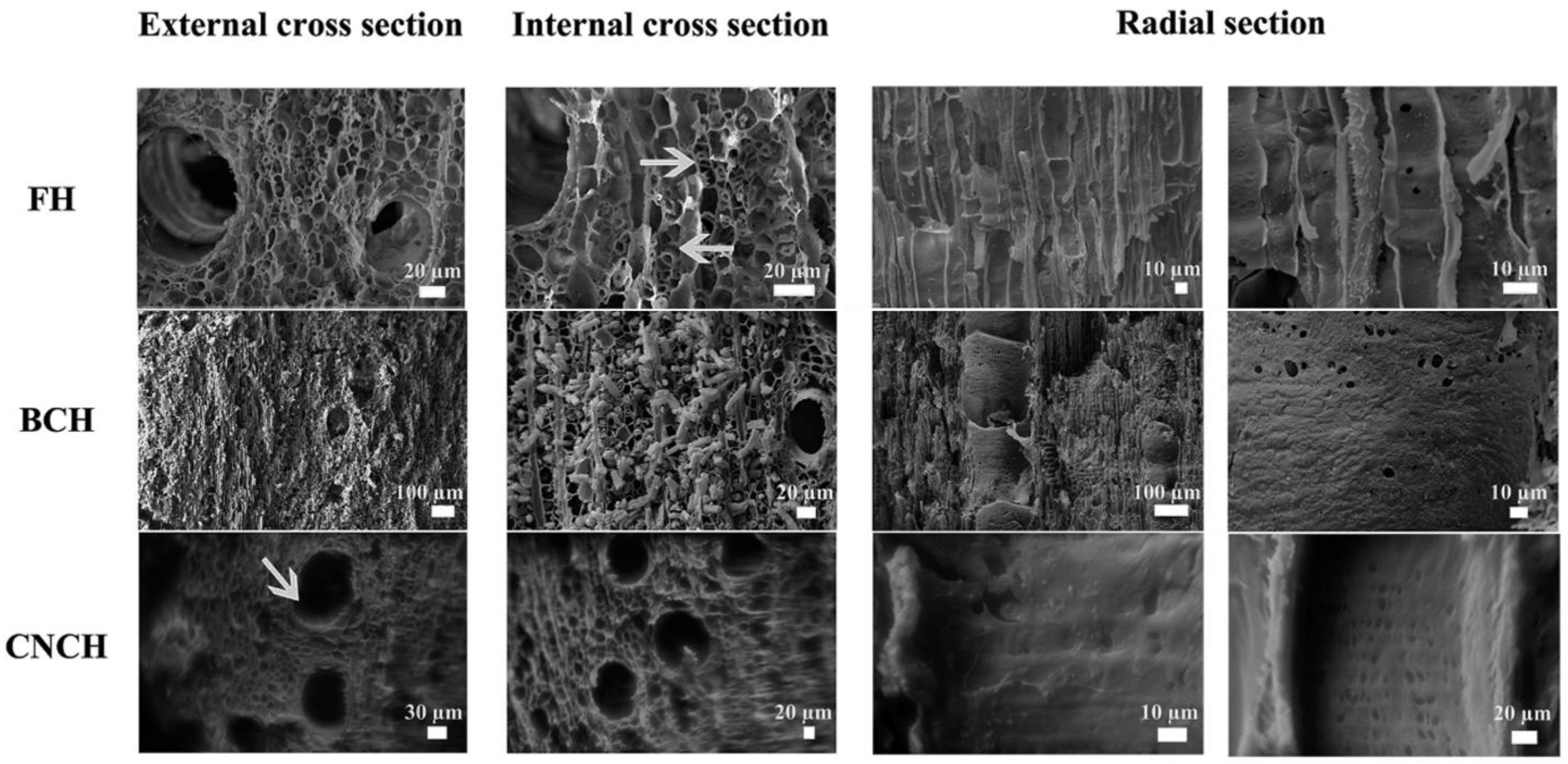 Applsci 12 12846 g003 Applsci 12 12846 g003