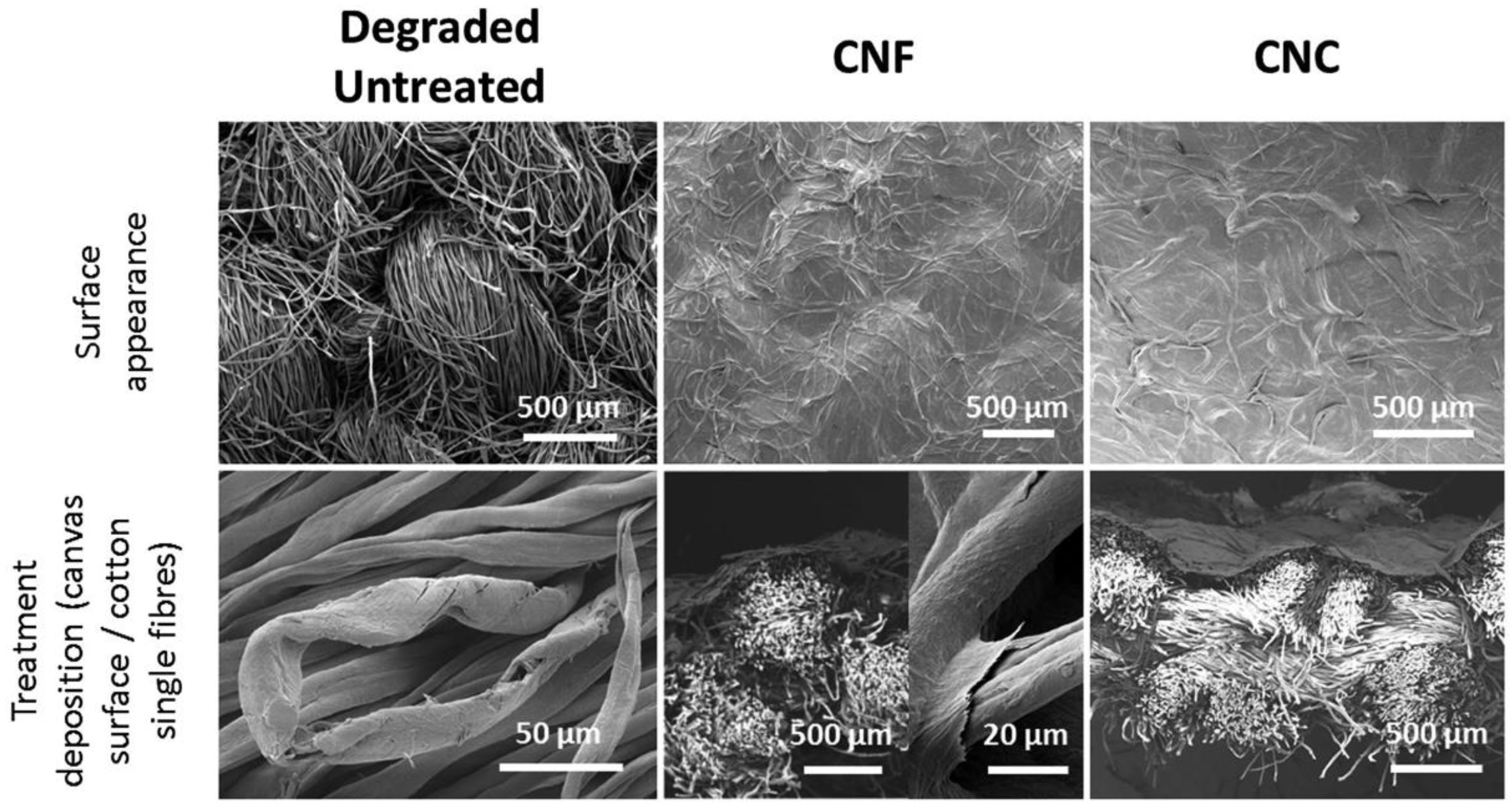 Applsci 12 12846 g004 Applsci 12 12846 g004