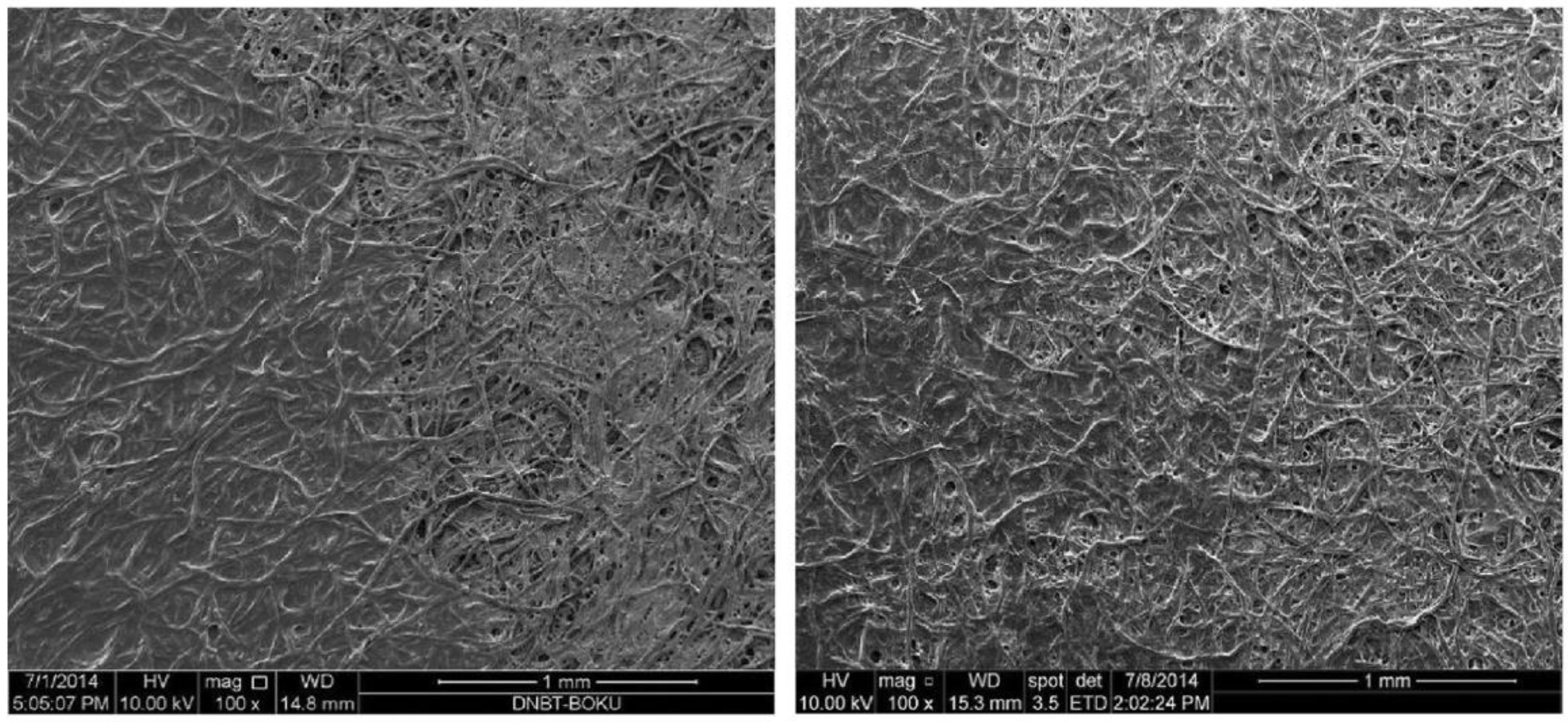 Applsci 12 12846 g008 Applsci 12 12846 g008