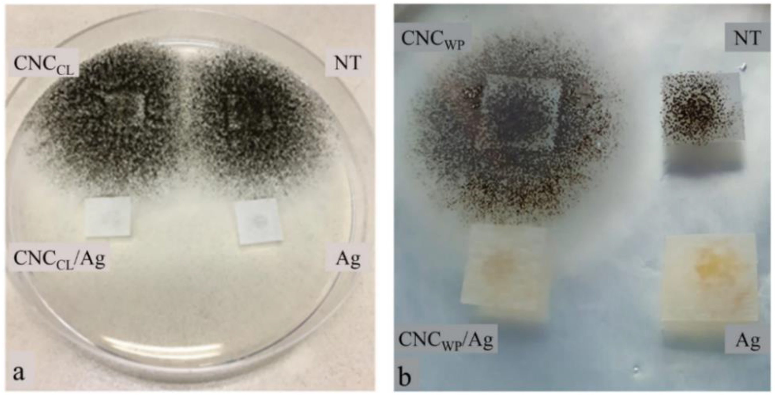 Applsci 12 12846 g010 Applsci 12 12846 g010