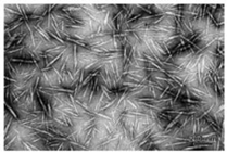 Applsci 12 12846 i001 Applsci 12 12846 i001