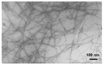 Applsci 12 12846 i002 Applsci 12 12846 i002