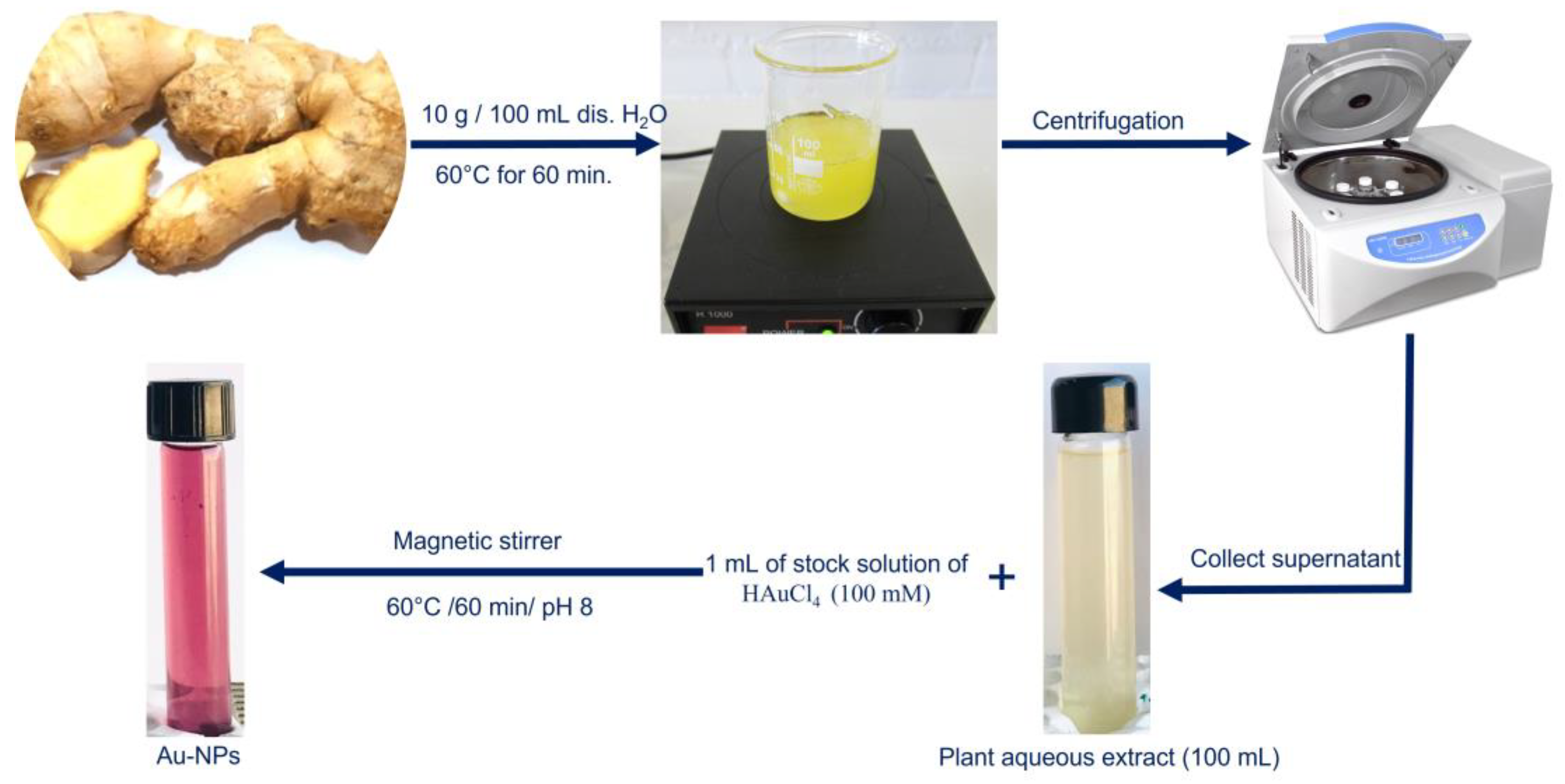 Applied Sciences | Free Full-Text | Green Synthesis of Gold 