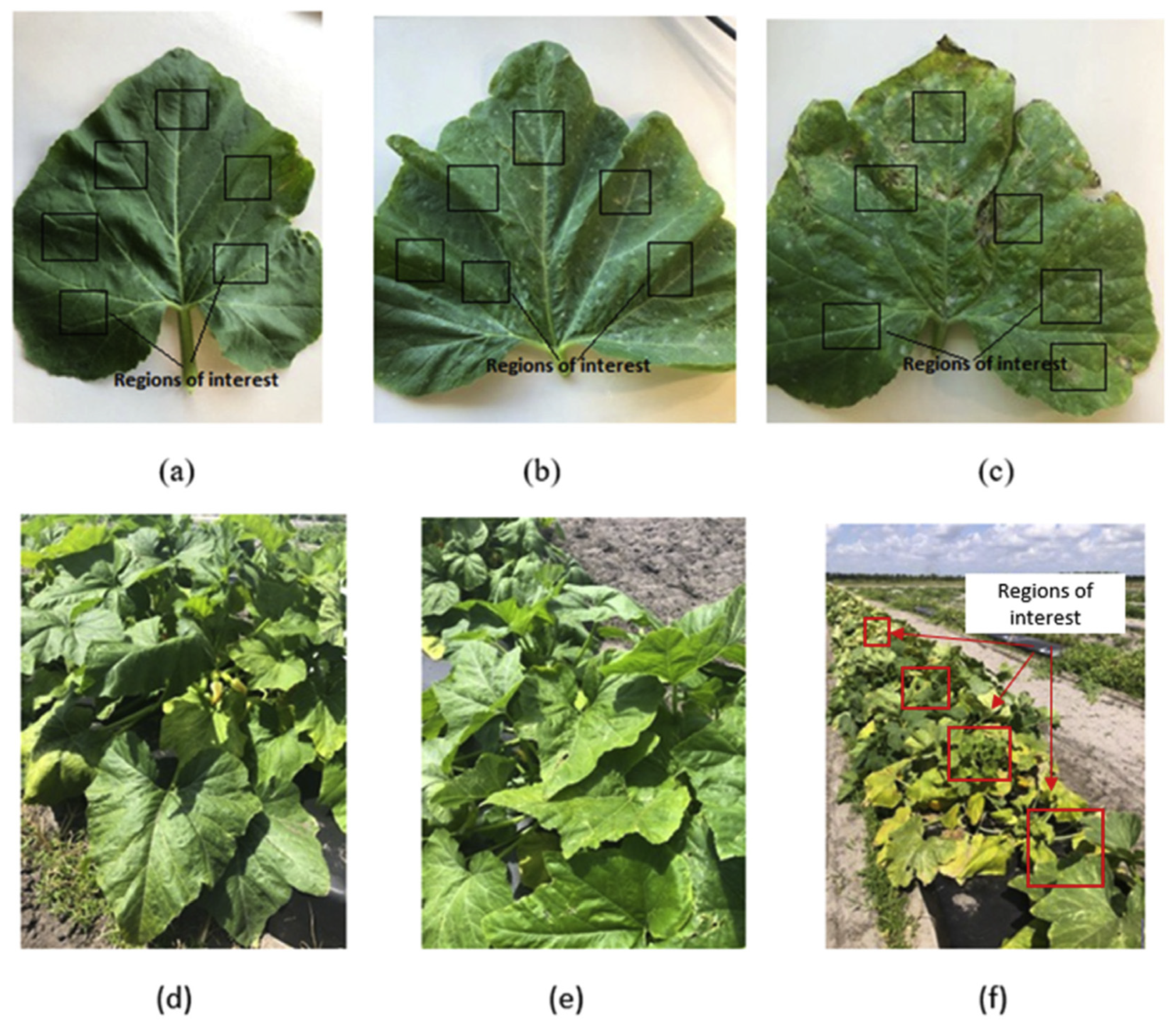 Applsci 13 00014 g004