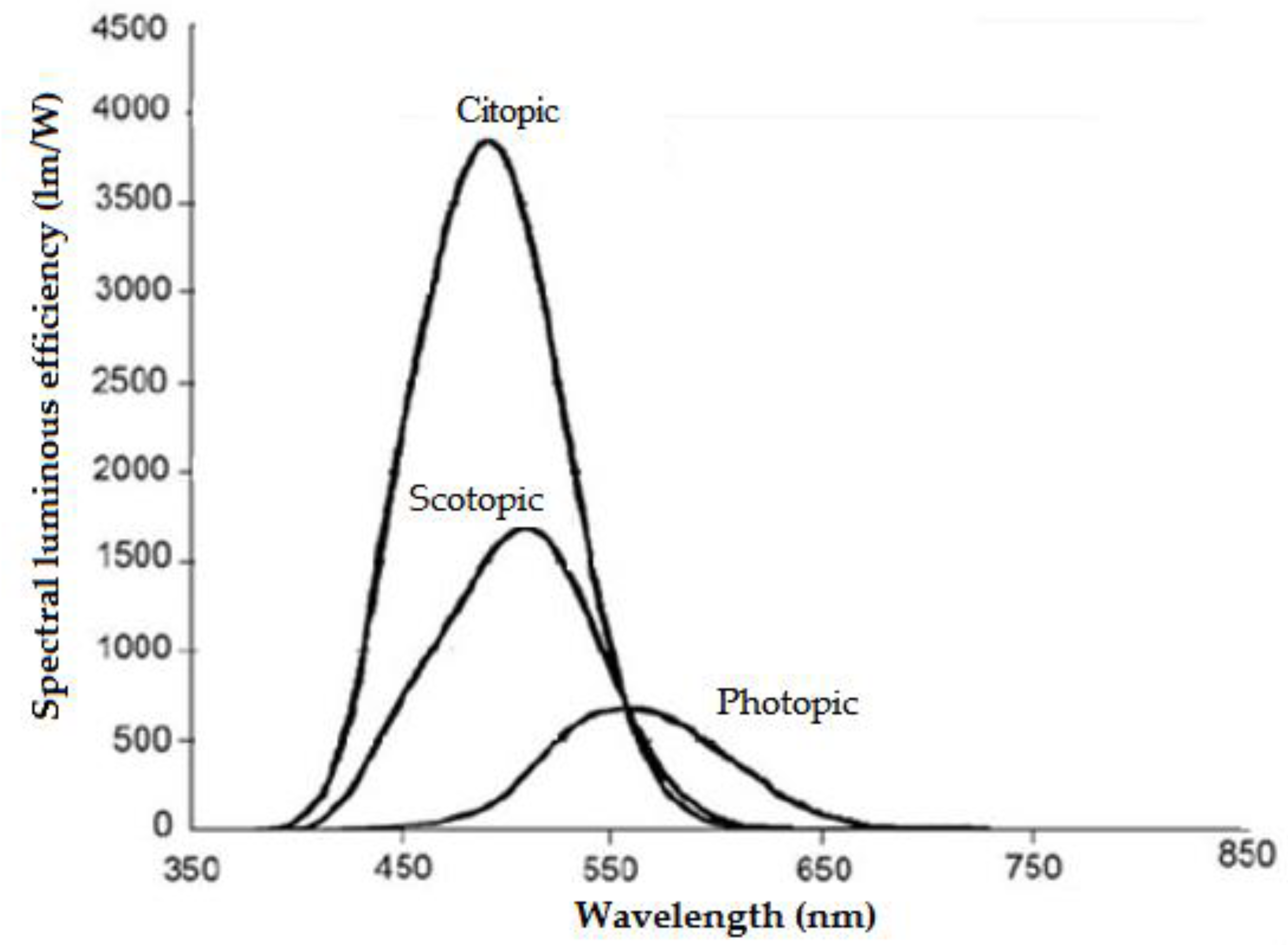 Applsci 13 00042 g004