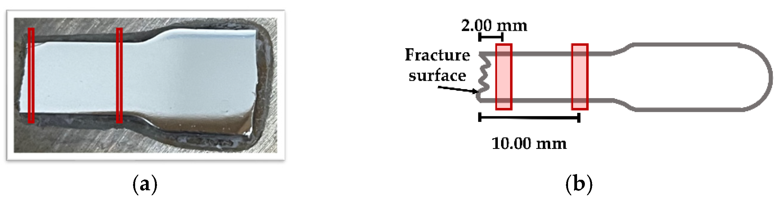 Applsci 13 00054 g001 Applsci 13 00054 g001