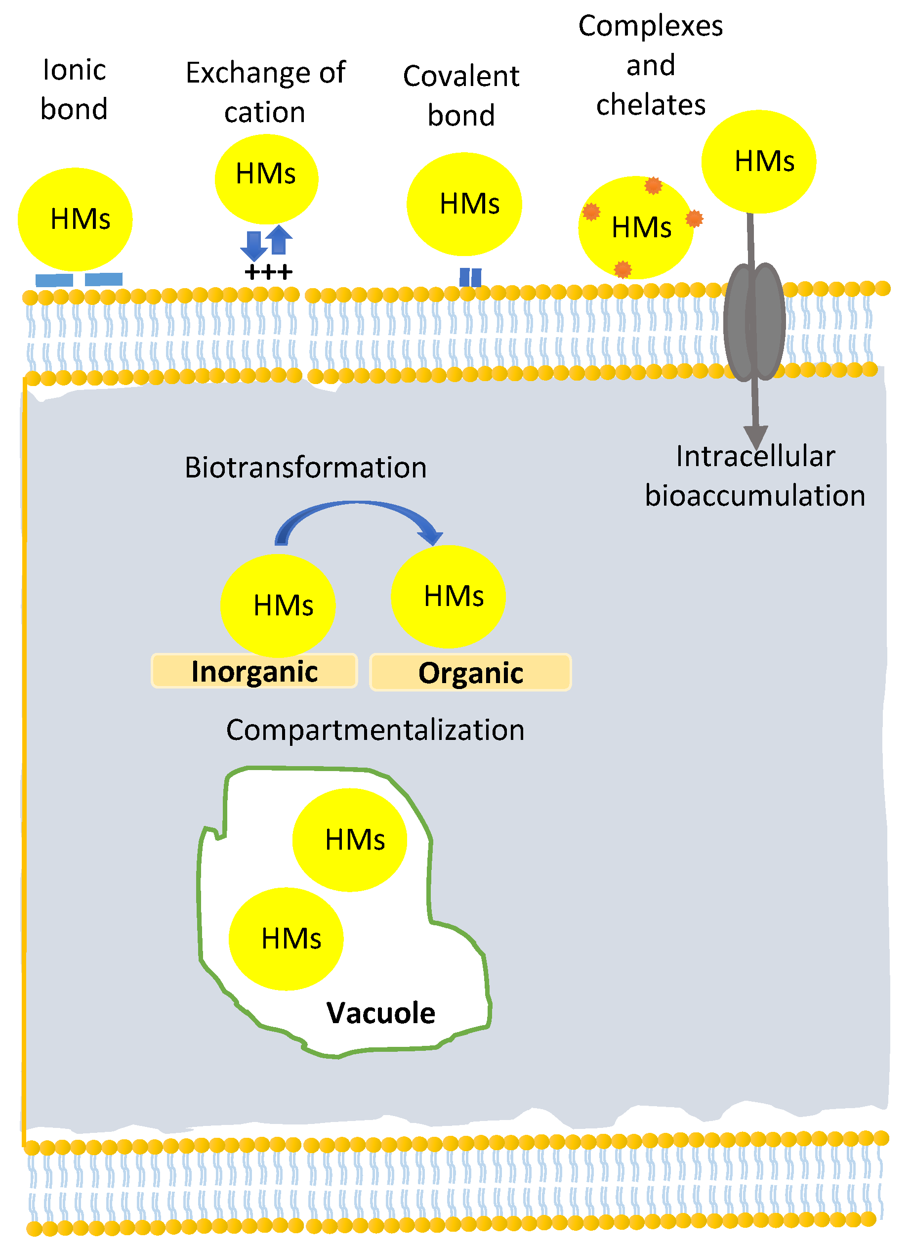 Applsci 13 00068 g008