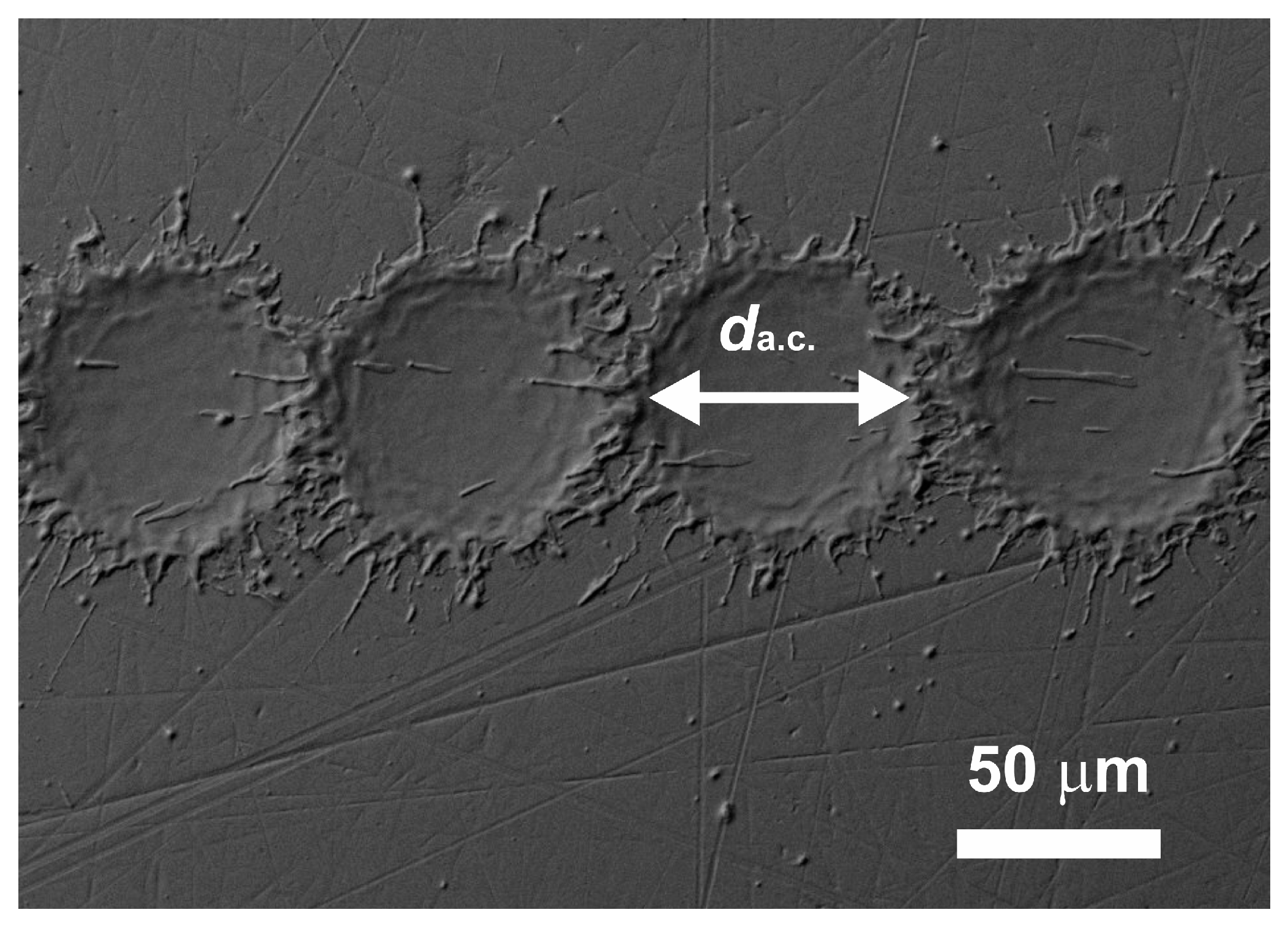 Applsci 13 00095 g001