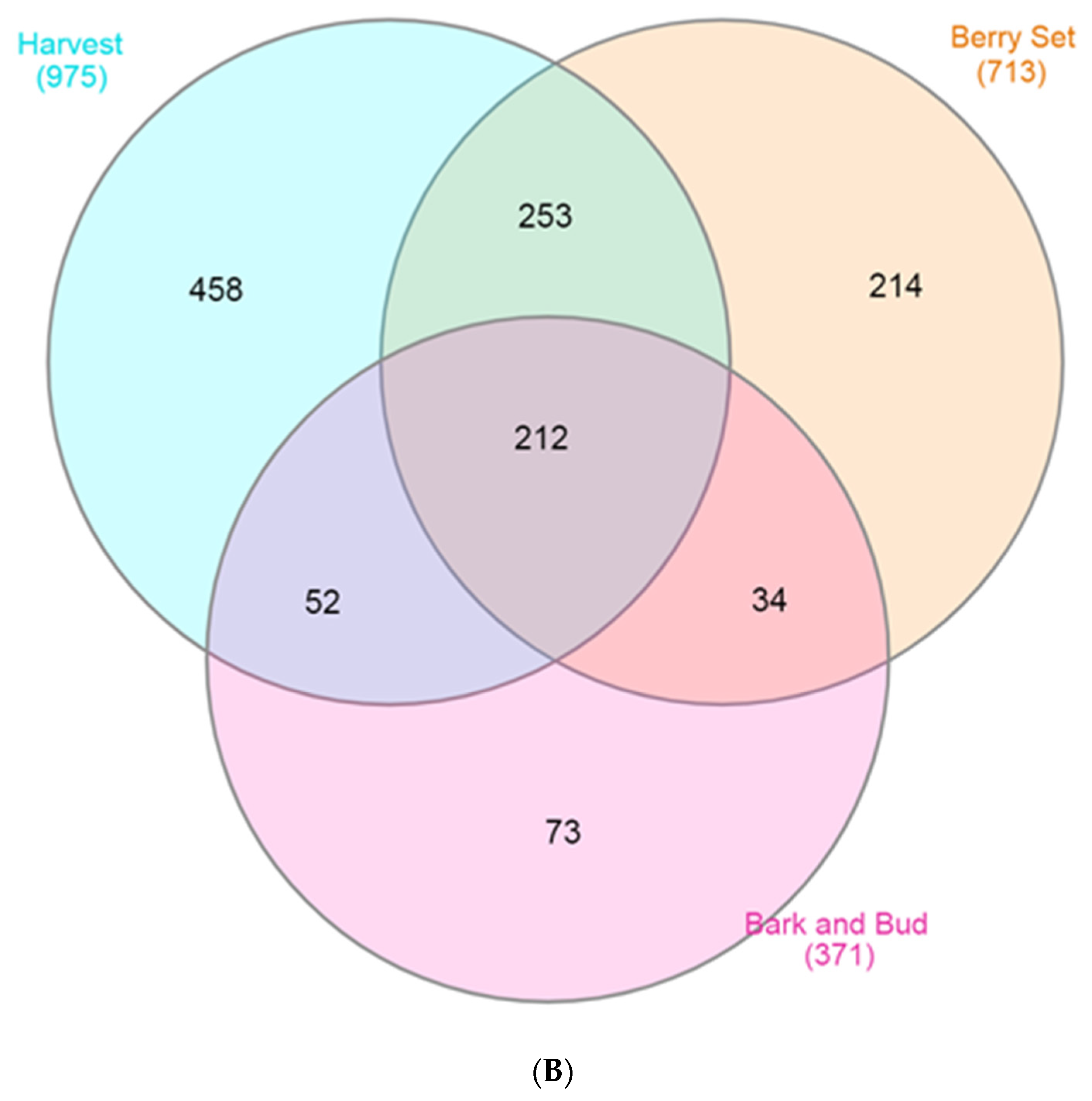 Applsci 13 00102 g001b