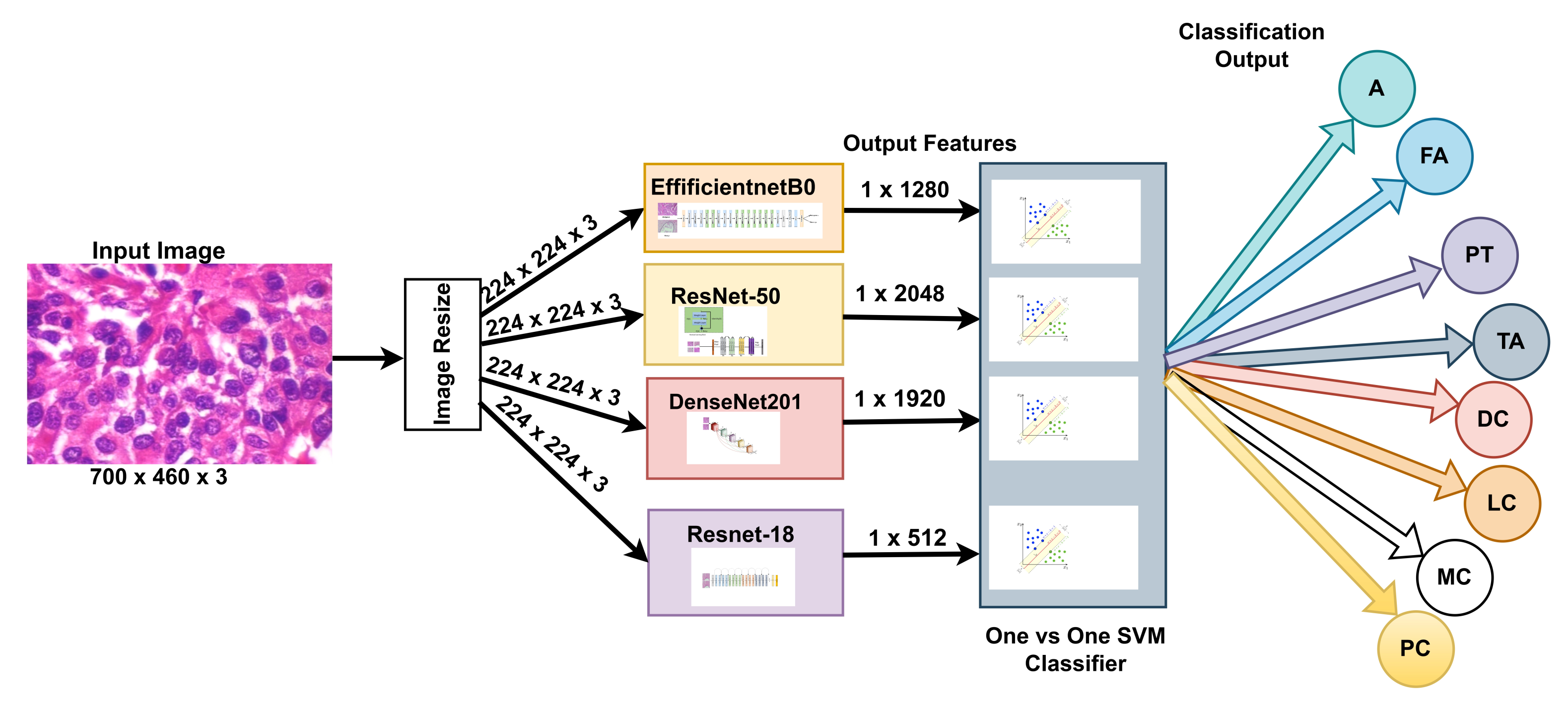 Breast cancer evaluation by fluorescent dot detection using combined  mathematical morphology and multifractal techniques, Diagnostic Pathology