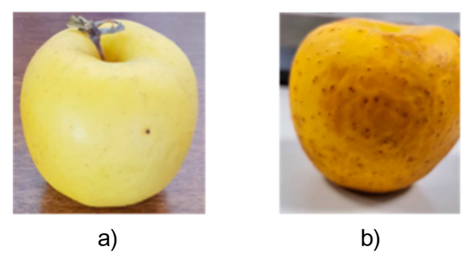 Applsci 13 00159 g002 Applsci 13 00159 g002