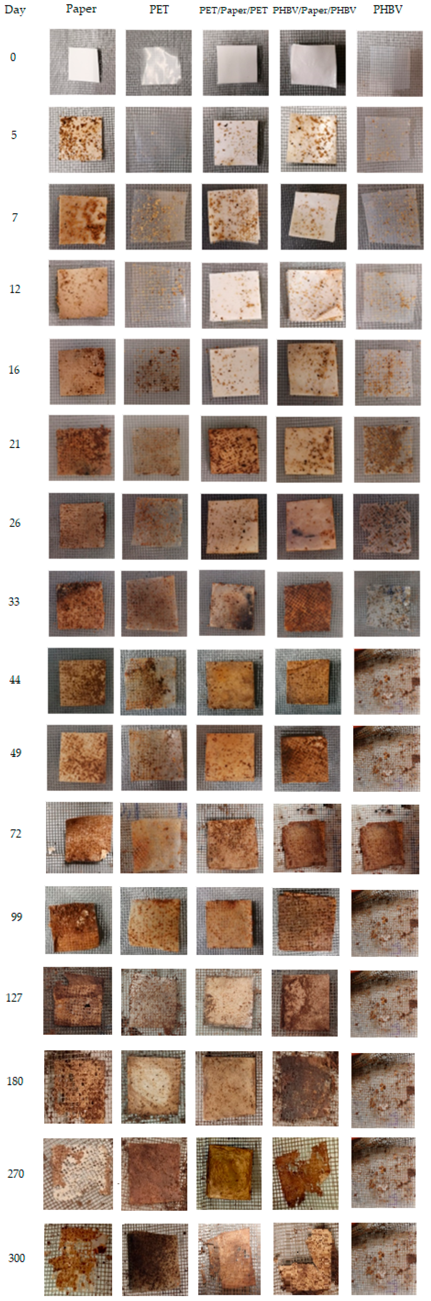 Applsci 13 00179 g009 Applsci 13 00179 g009