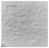 Applsci 13 00179 i014 Applsci 13 00179 i014