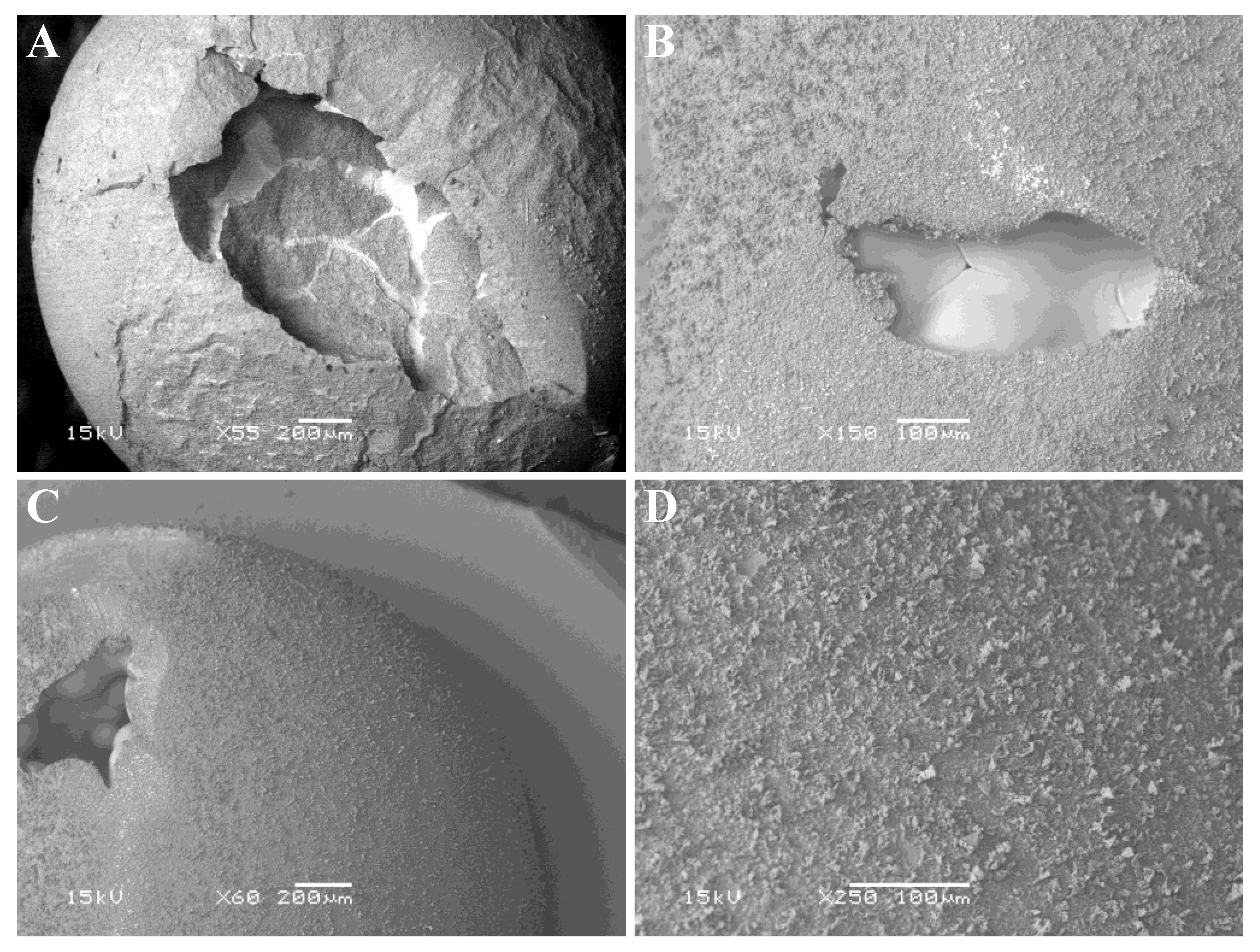 Applsci 13 00229 g008