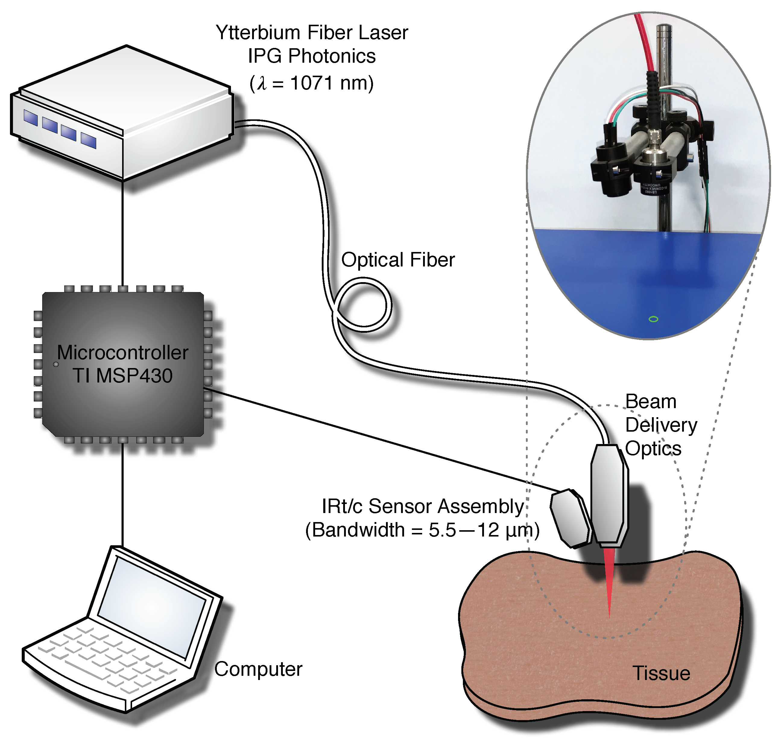 Applied Sciences | Free Full-Text | Controlling Laser Irradiation with  Tissue Temperature Feedback Enhances Photothermal Applications: Ex-Vivo  Evaluation on Bovine Liver