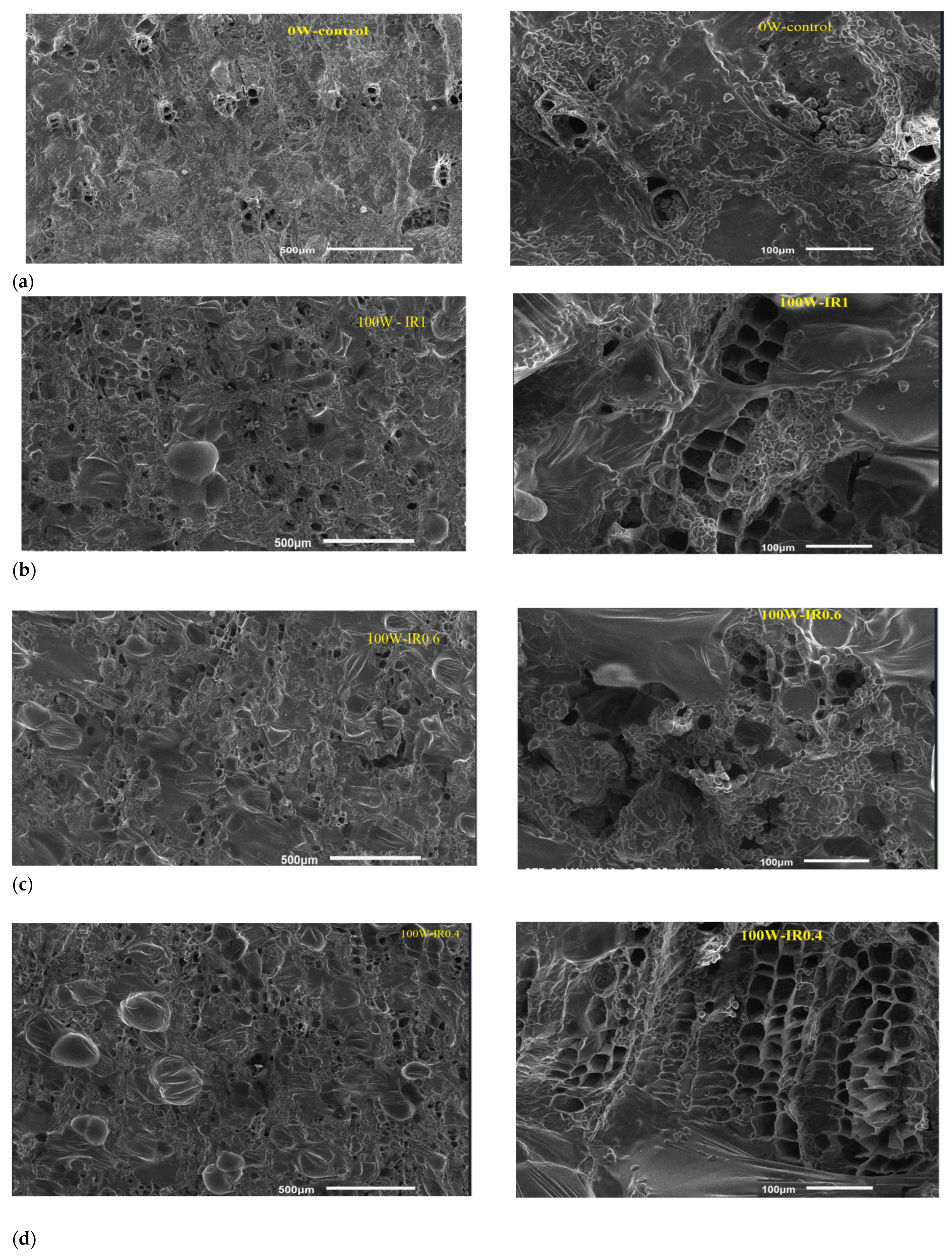 Applsci 13 00408 g011 Applsci 13 00408 g011