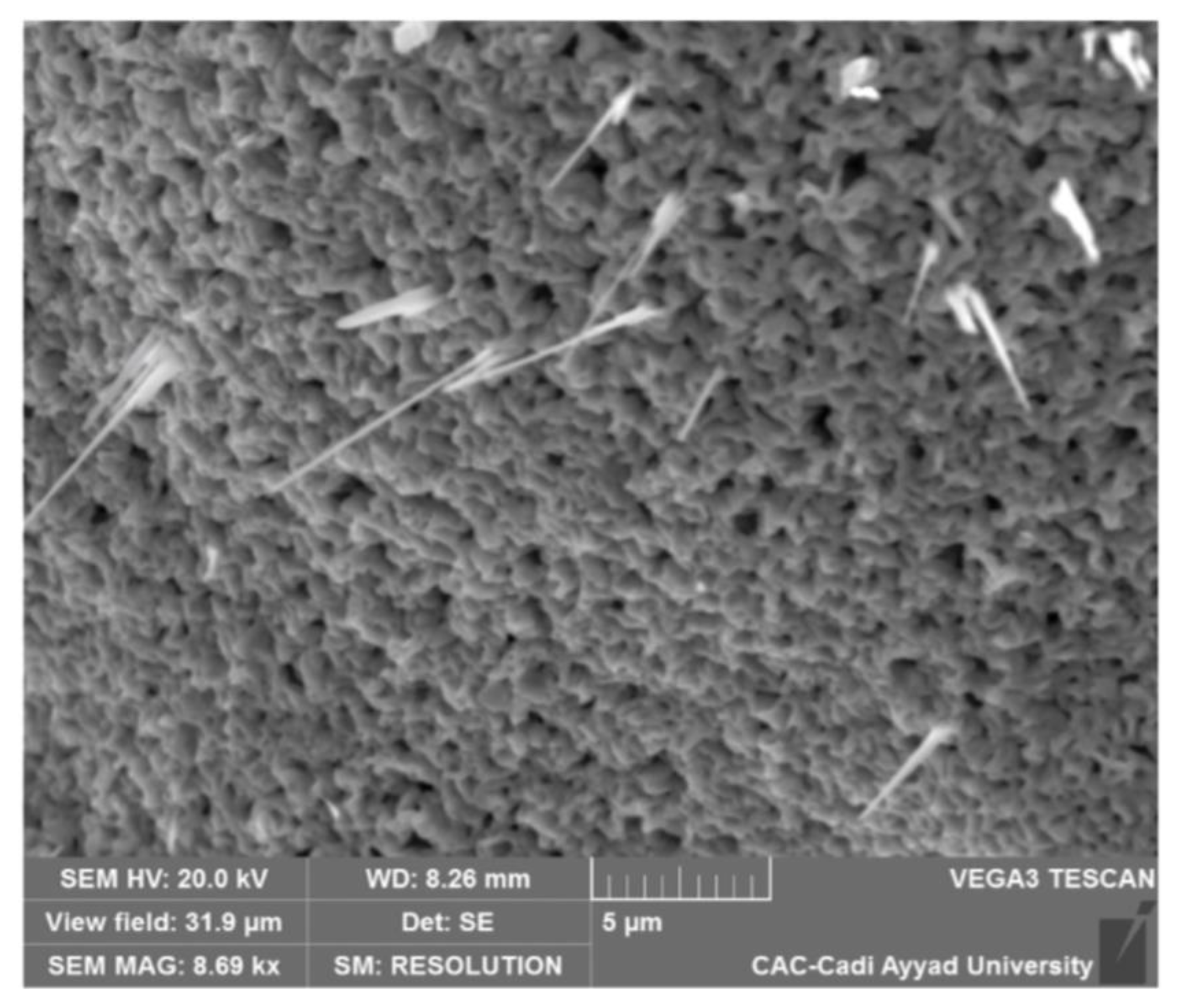 Applsci 13 00488 g001