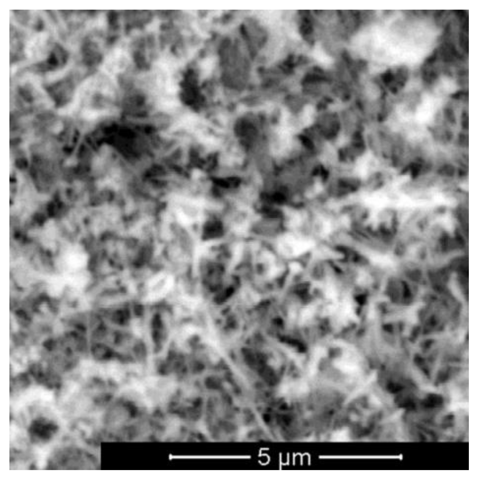 Applsci 13 00488 g011