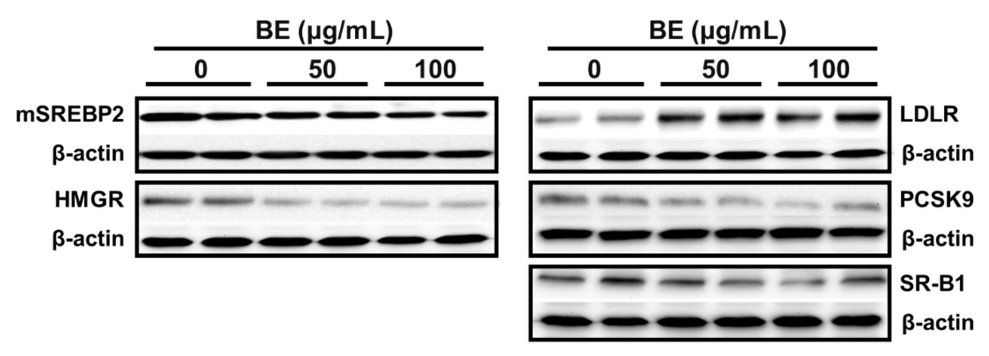 Applsci 13 00516 g003
