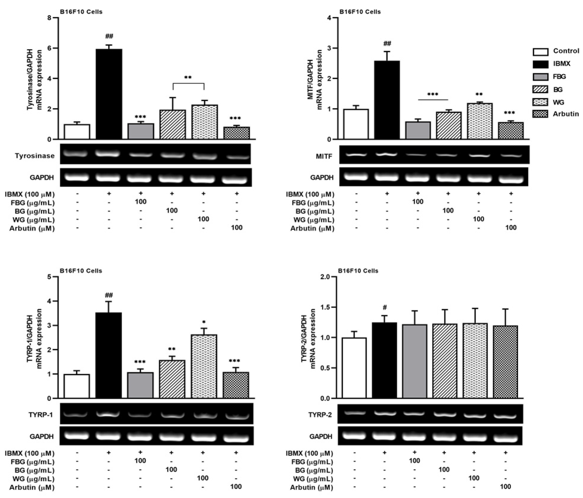 Applsci 13 00550 g002