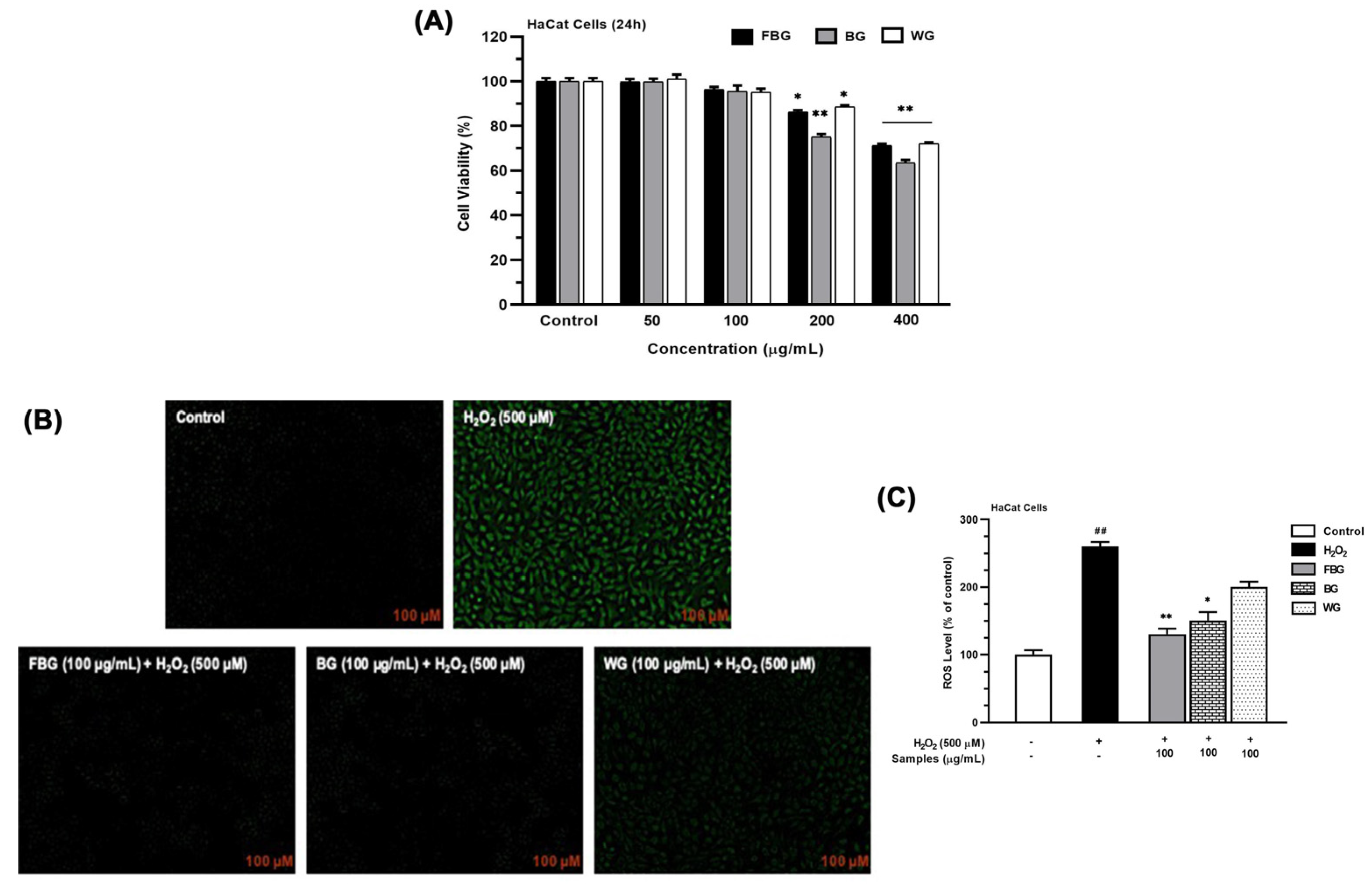 Applsci 13 00550 g005