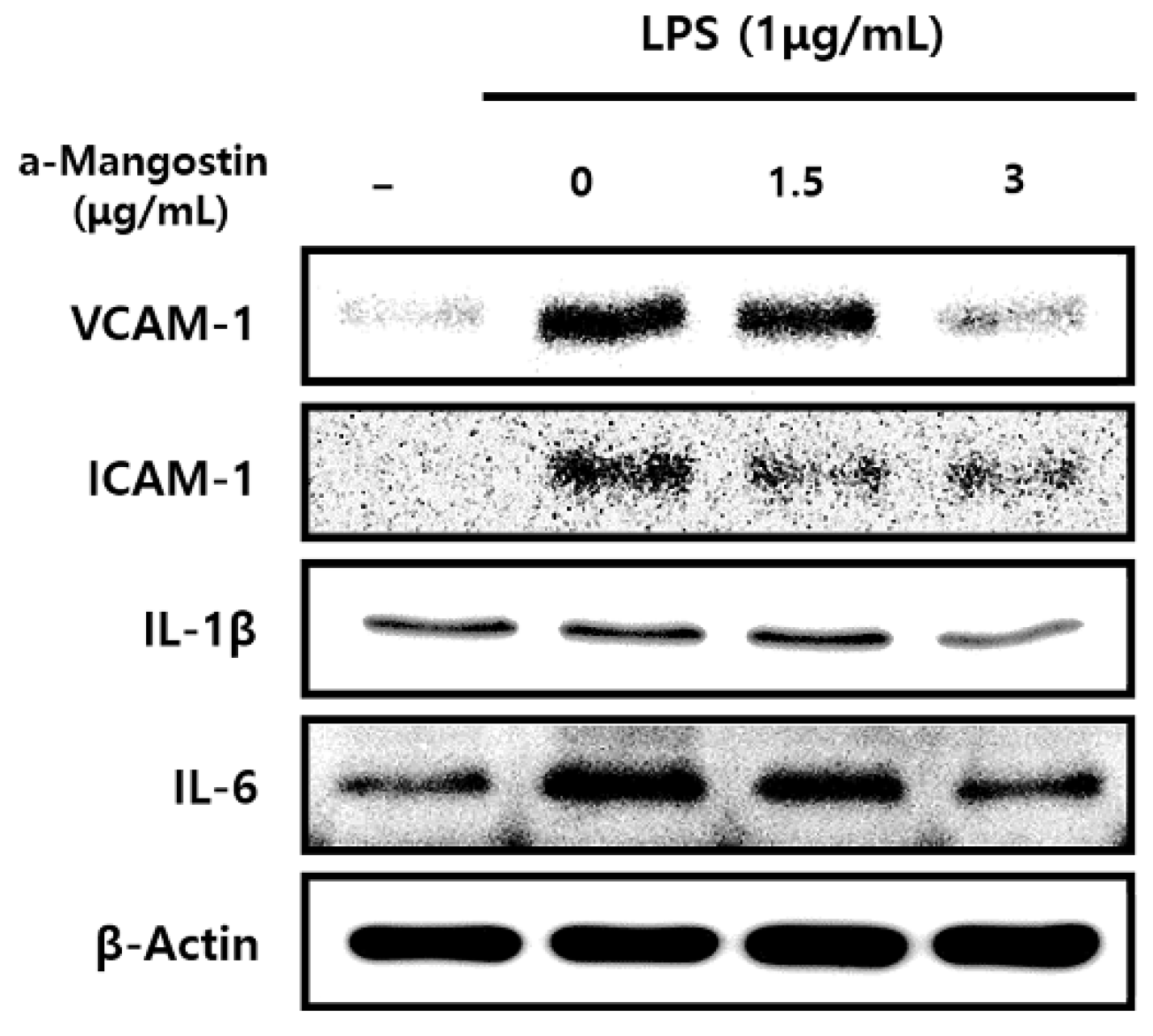 Applsci 13 00681 g003
