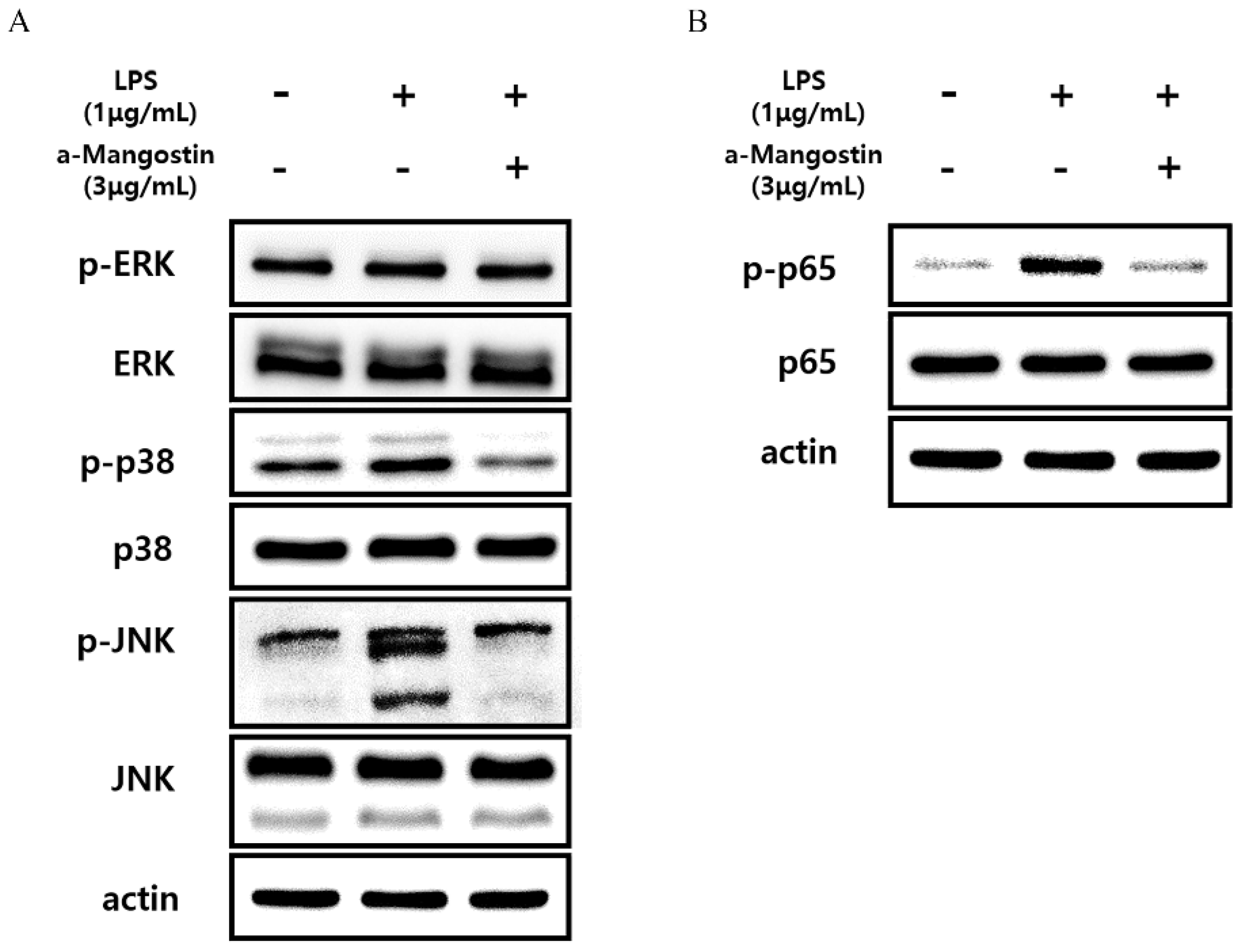 Applsci 13 00681 g005