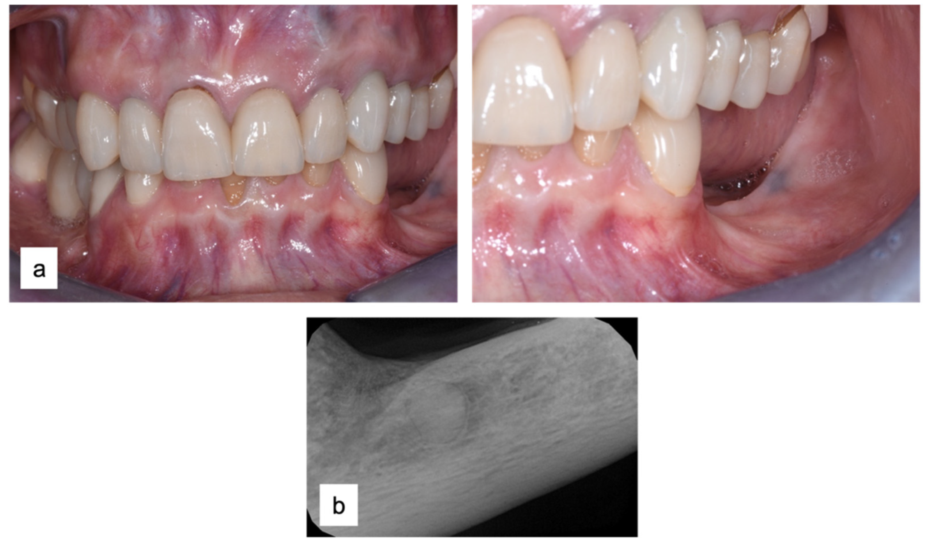Applsci 13 00692 g002 Applsci 13 00692 g002