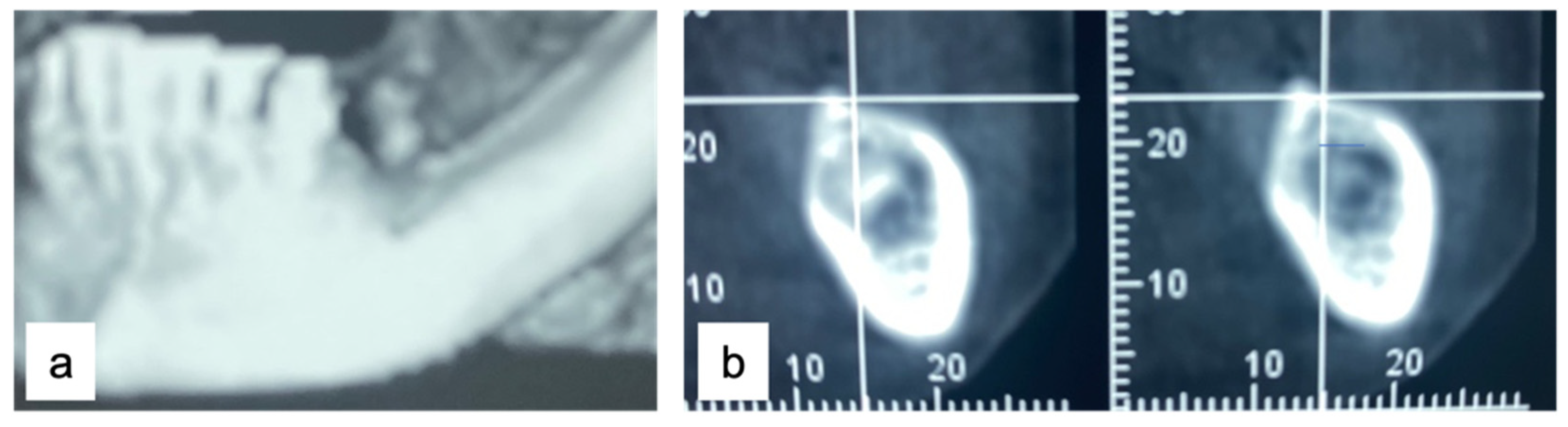 Applsci 13 00692 g003 Applsci 13 00692 g003