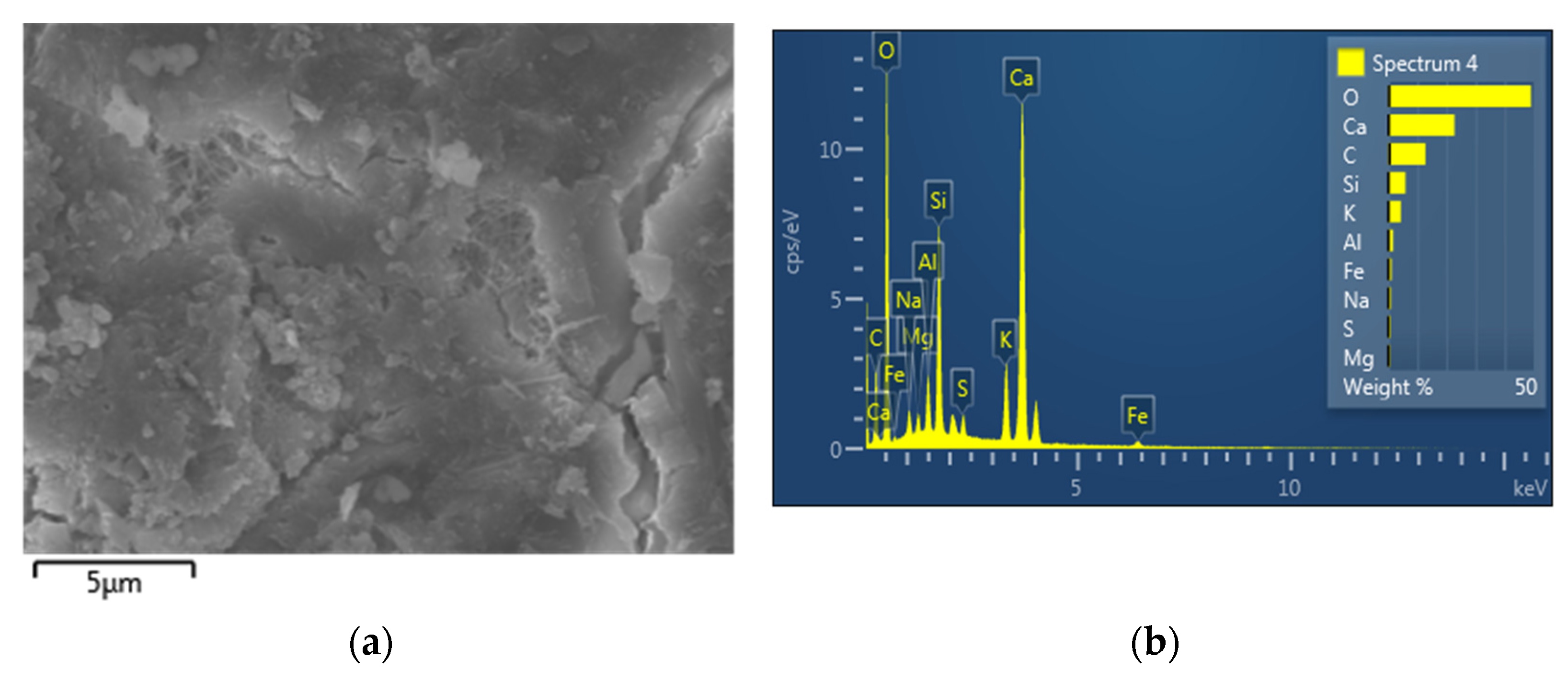Applsci 13 00714 g013