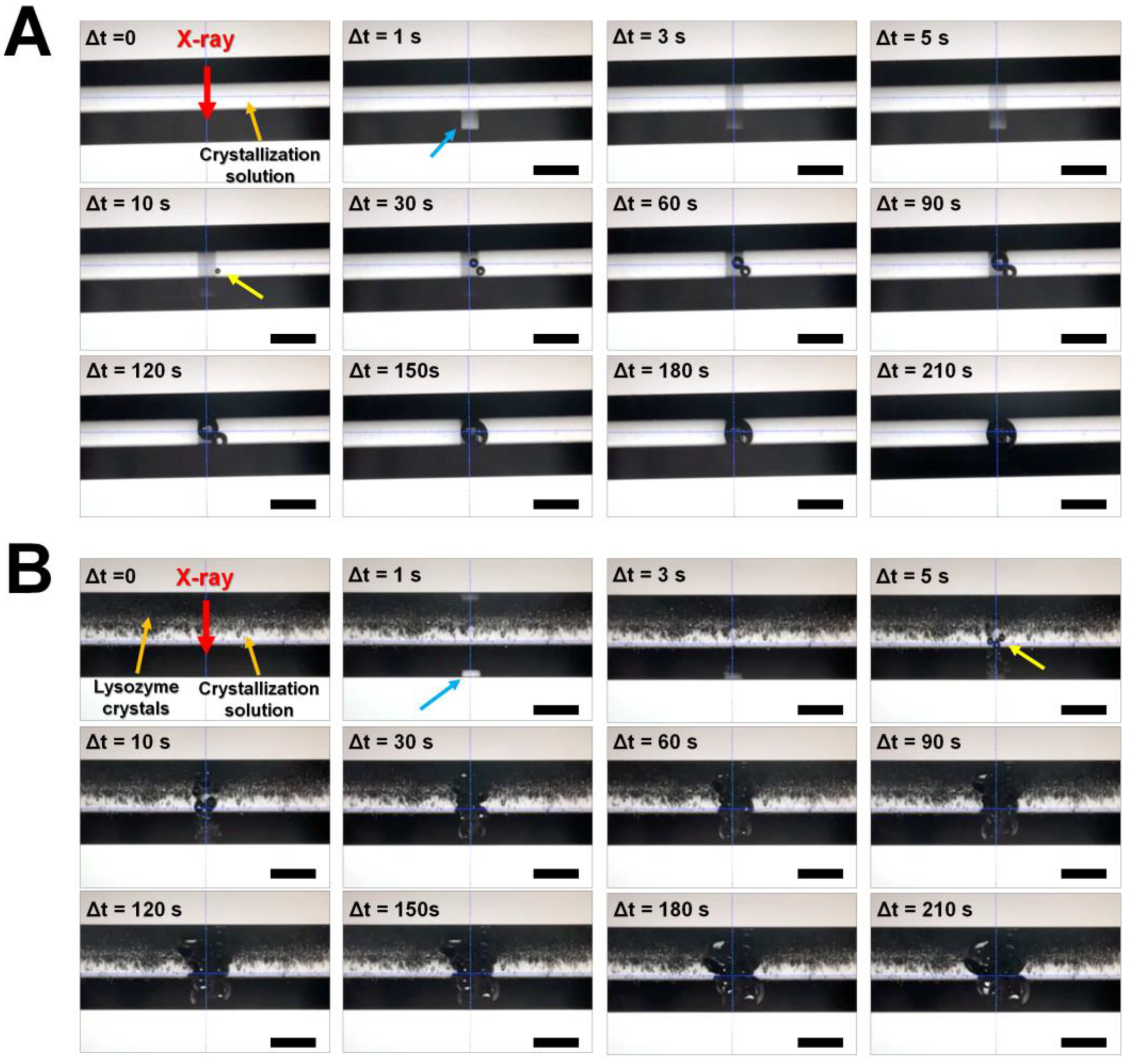 Applsci 13 00717 g001