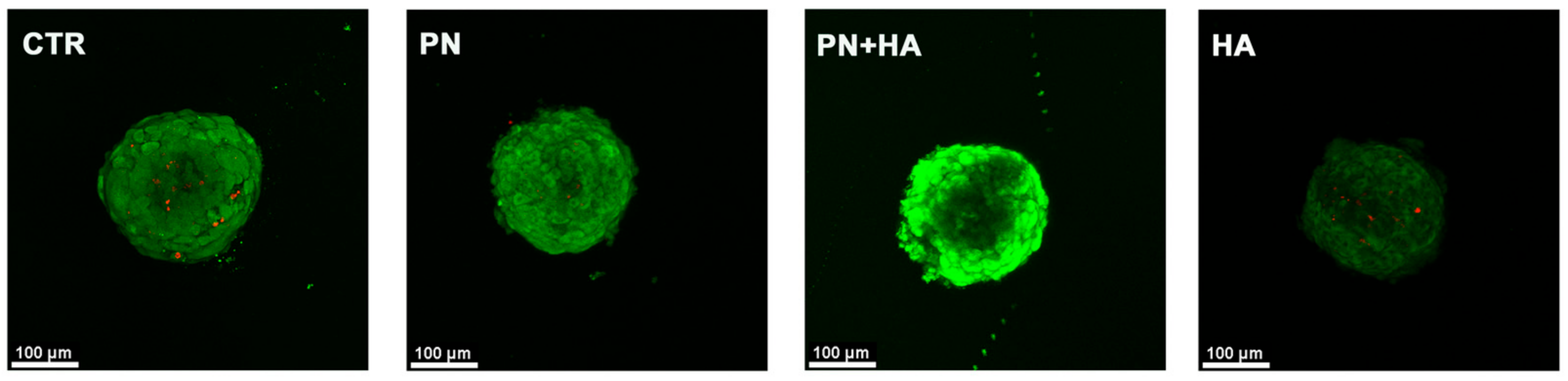 Applsci 13 00743 g004