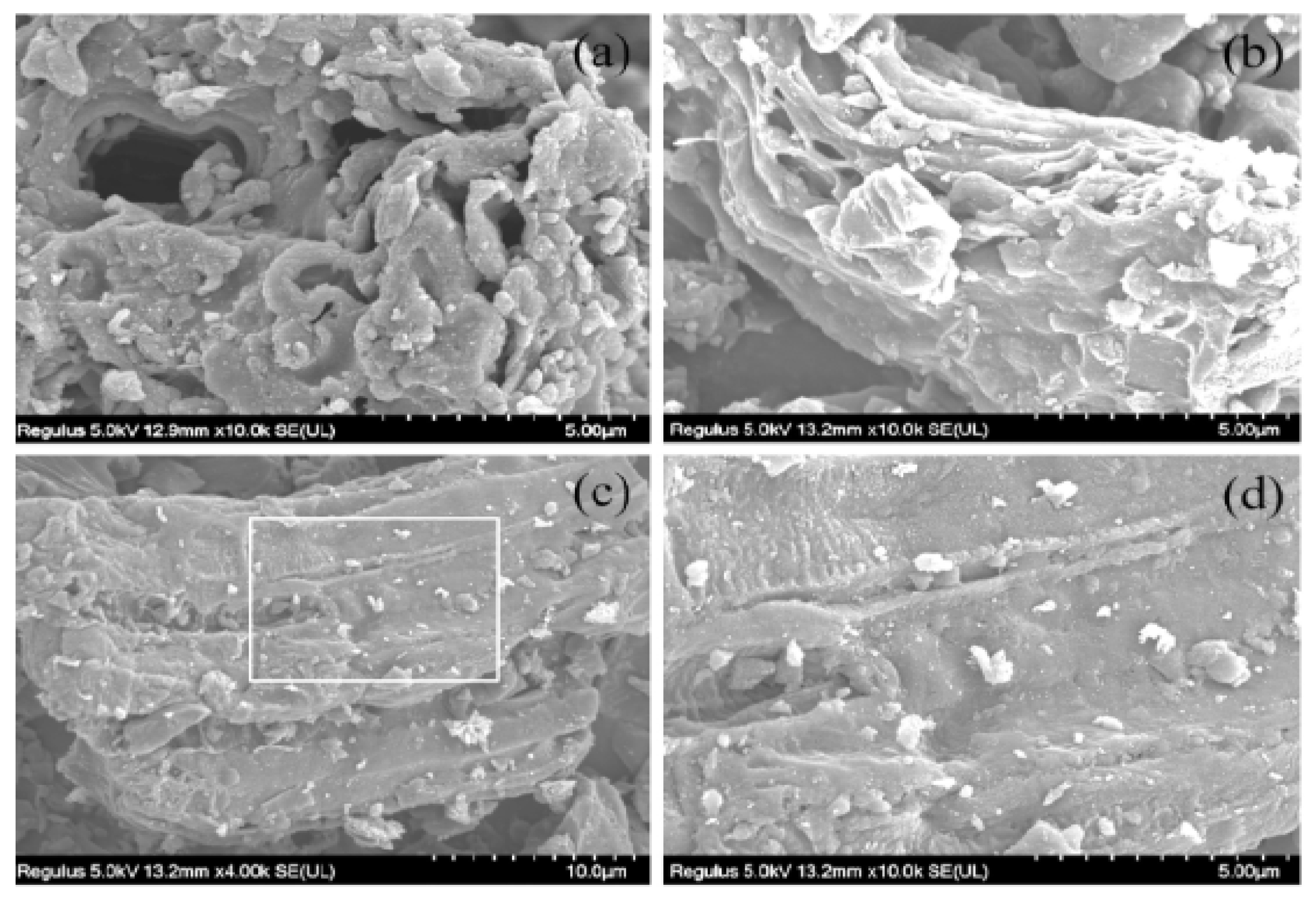 Applsci 13 00772 g005 Applsci 13 00772 g005