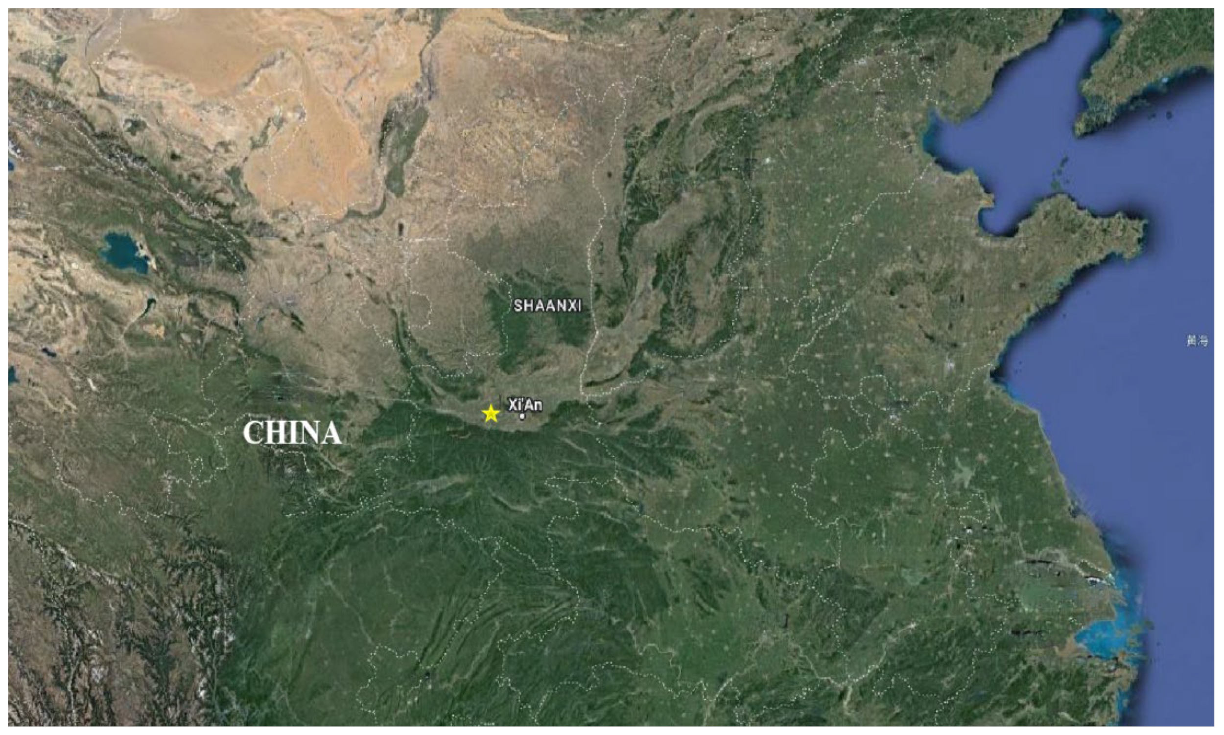 Applsci 13 00846 g001