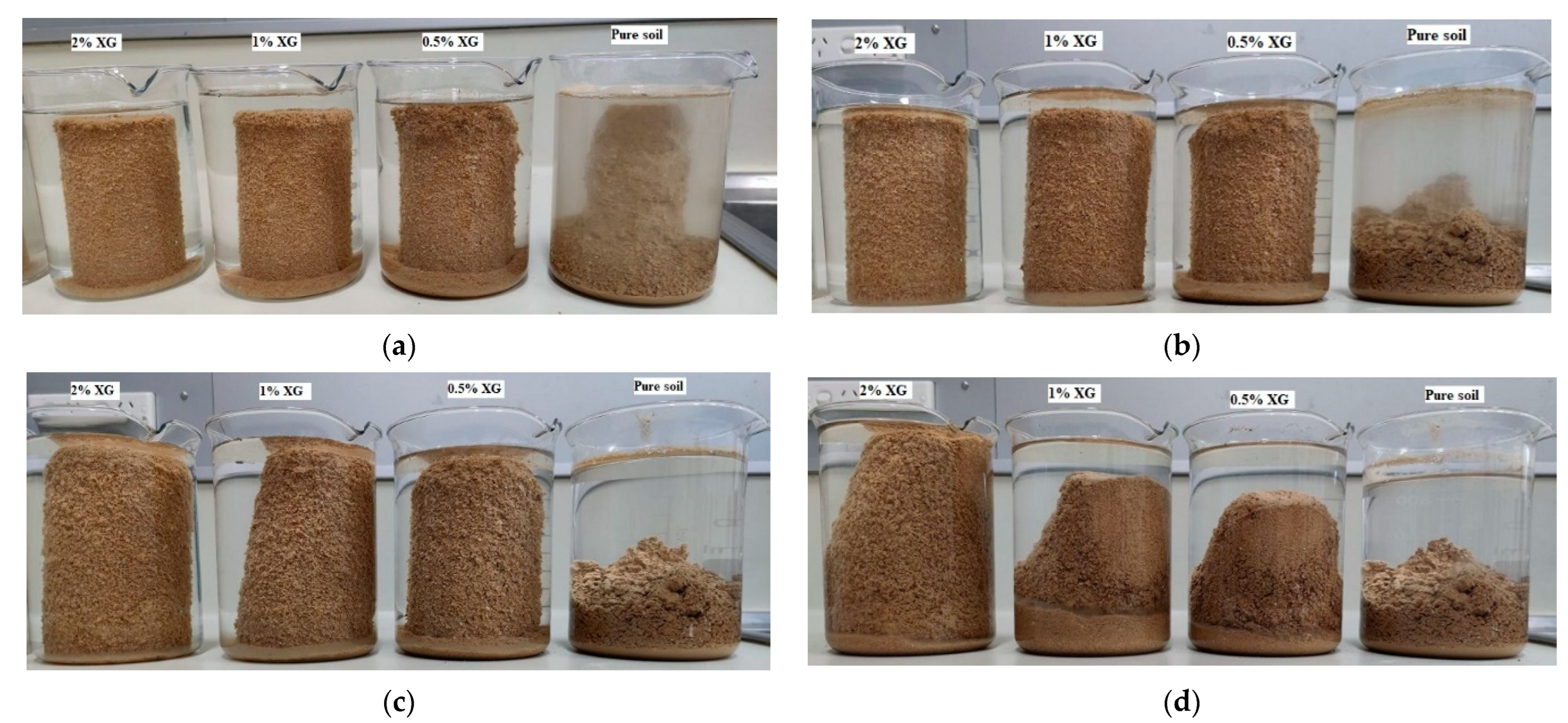 Applsci 13 00887 g010