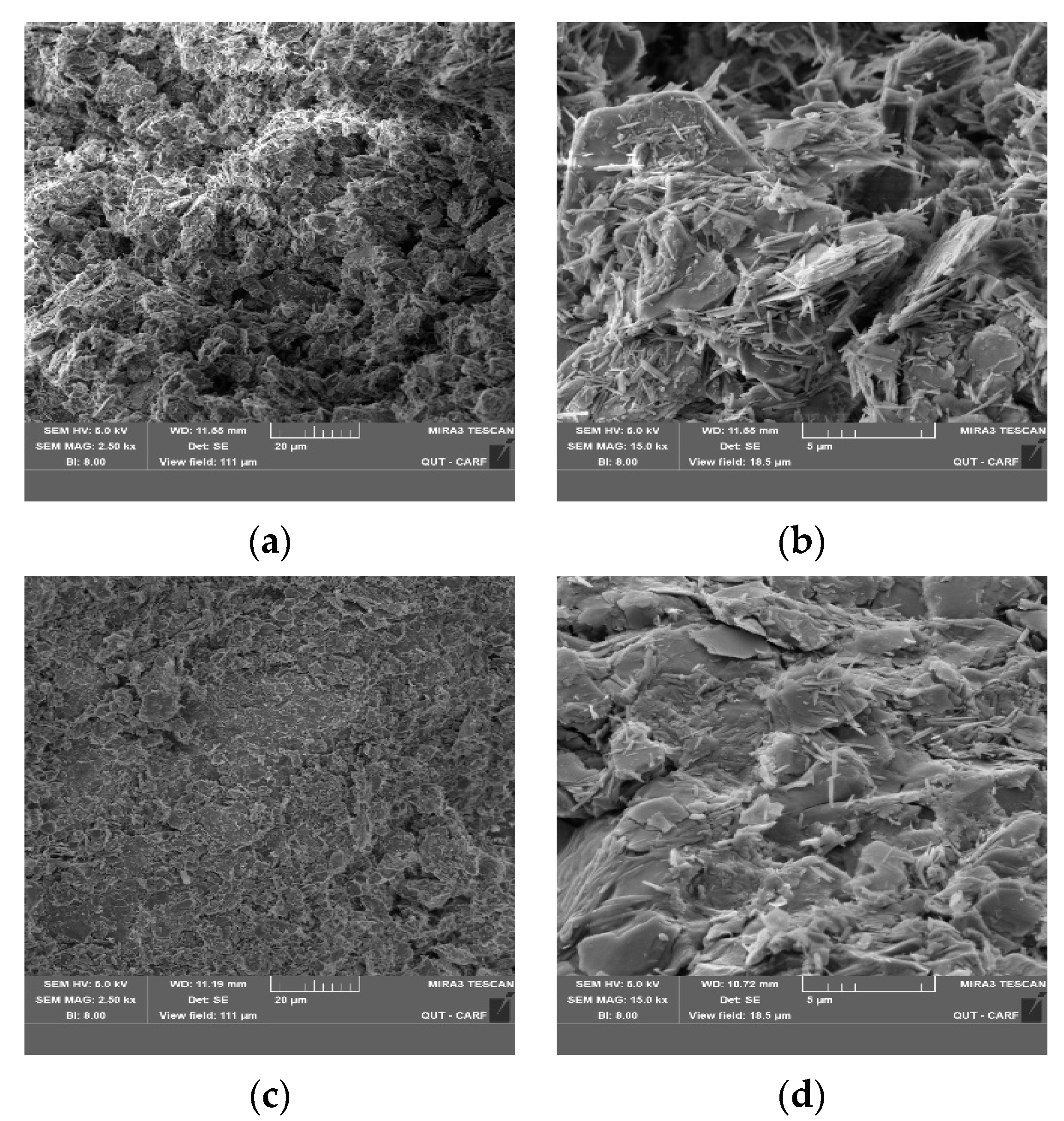 Applsci 13 00887 g011