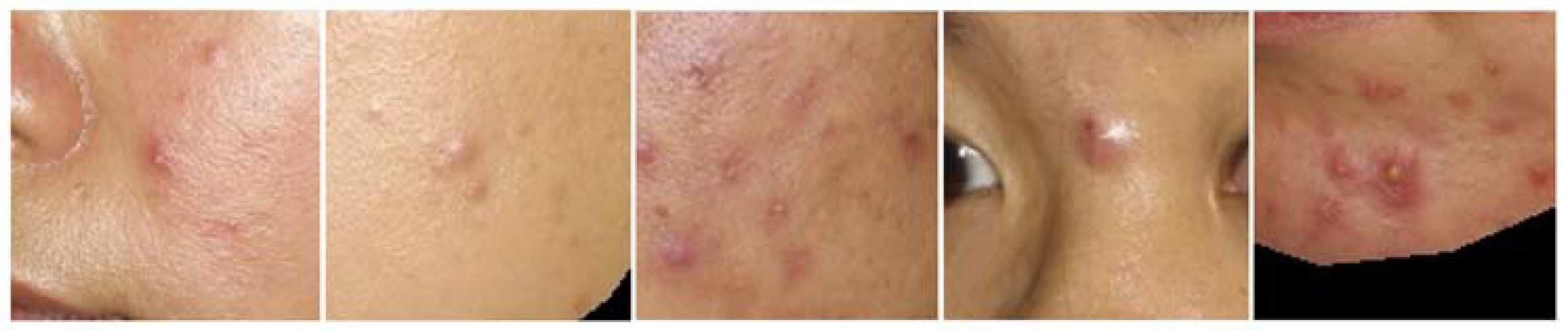 Applsci 13 00989 g002