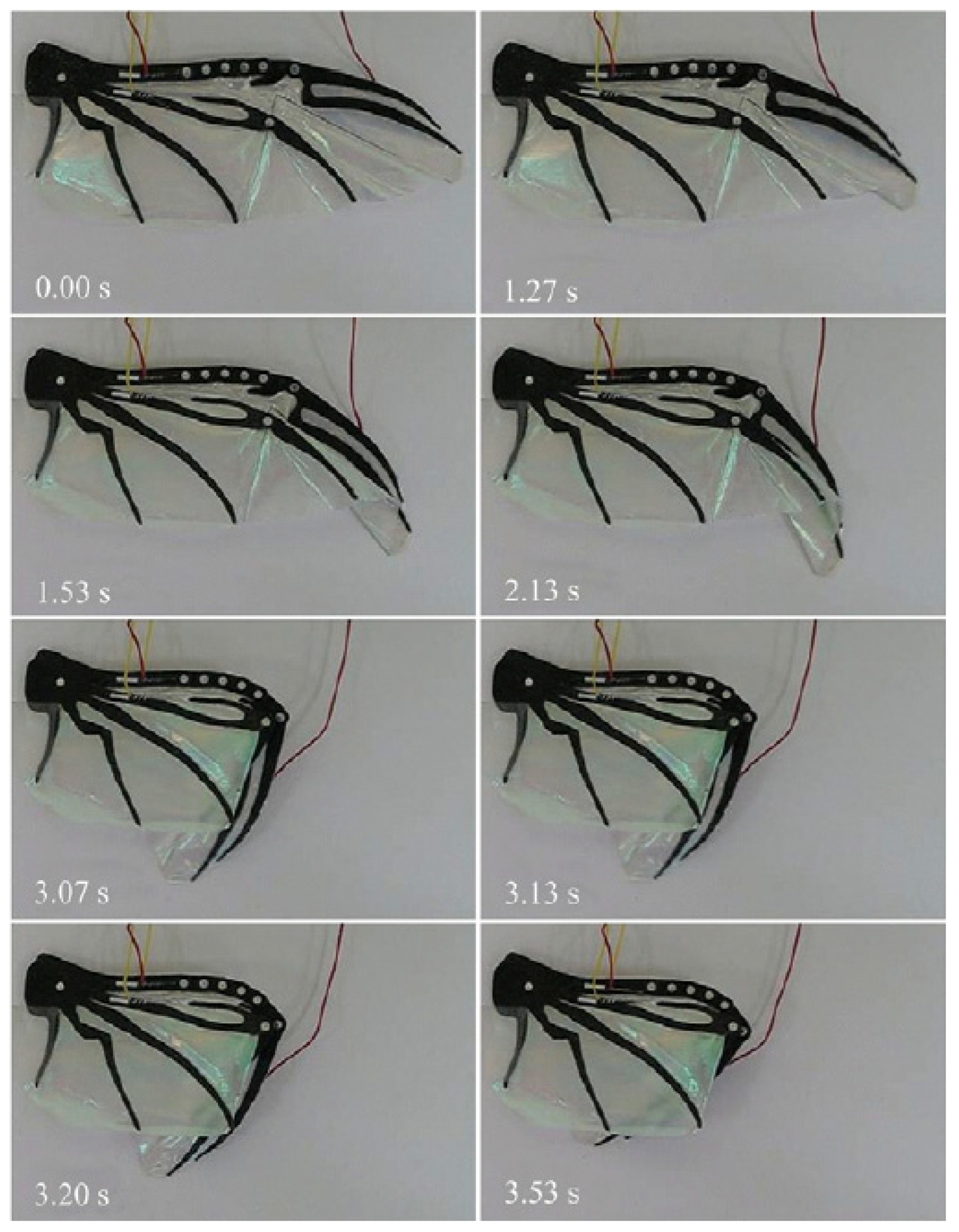 Applsci 13 00995 g009