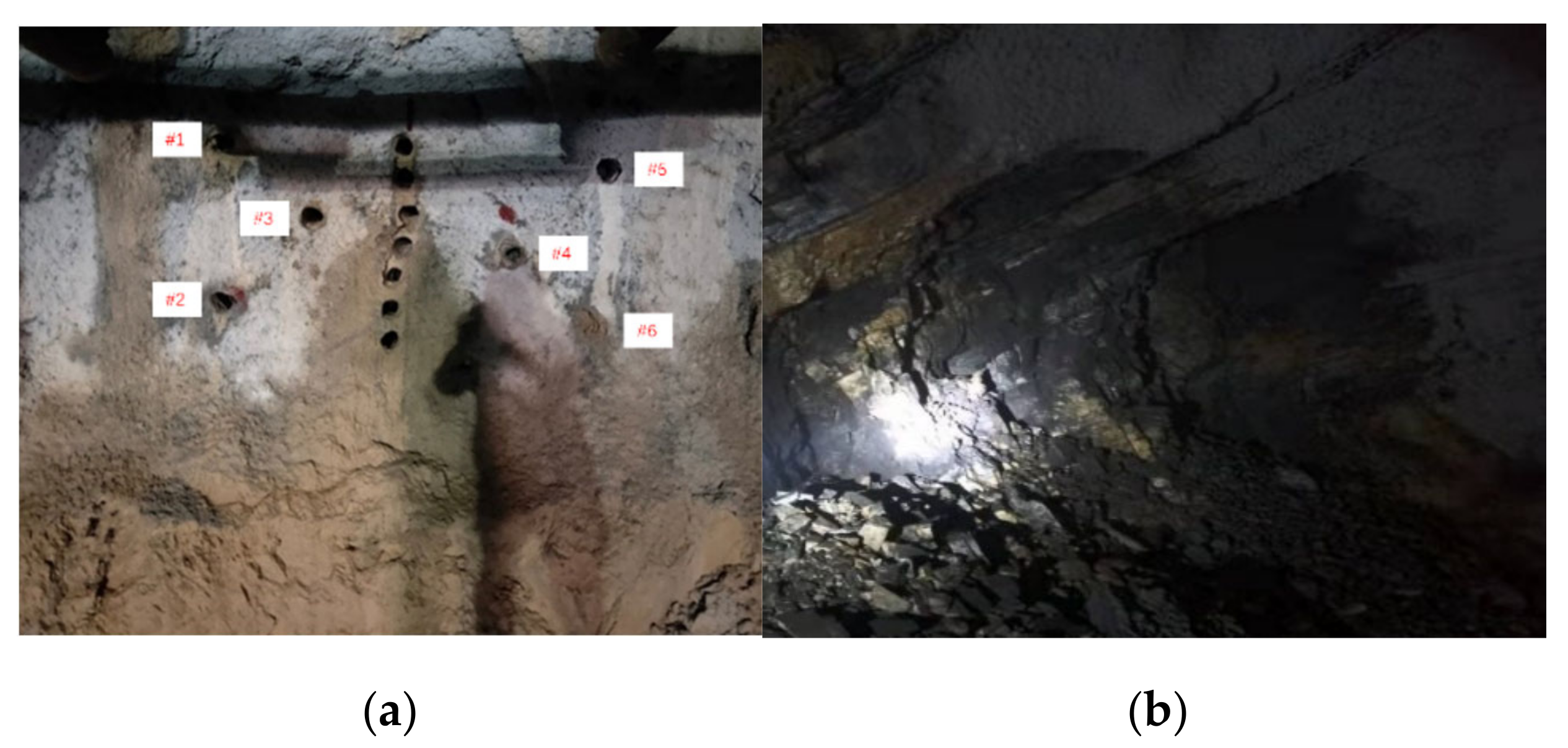 Applsci 13 01017 g010