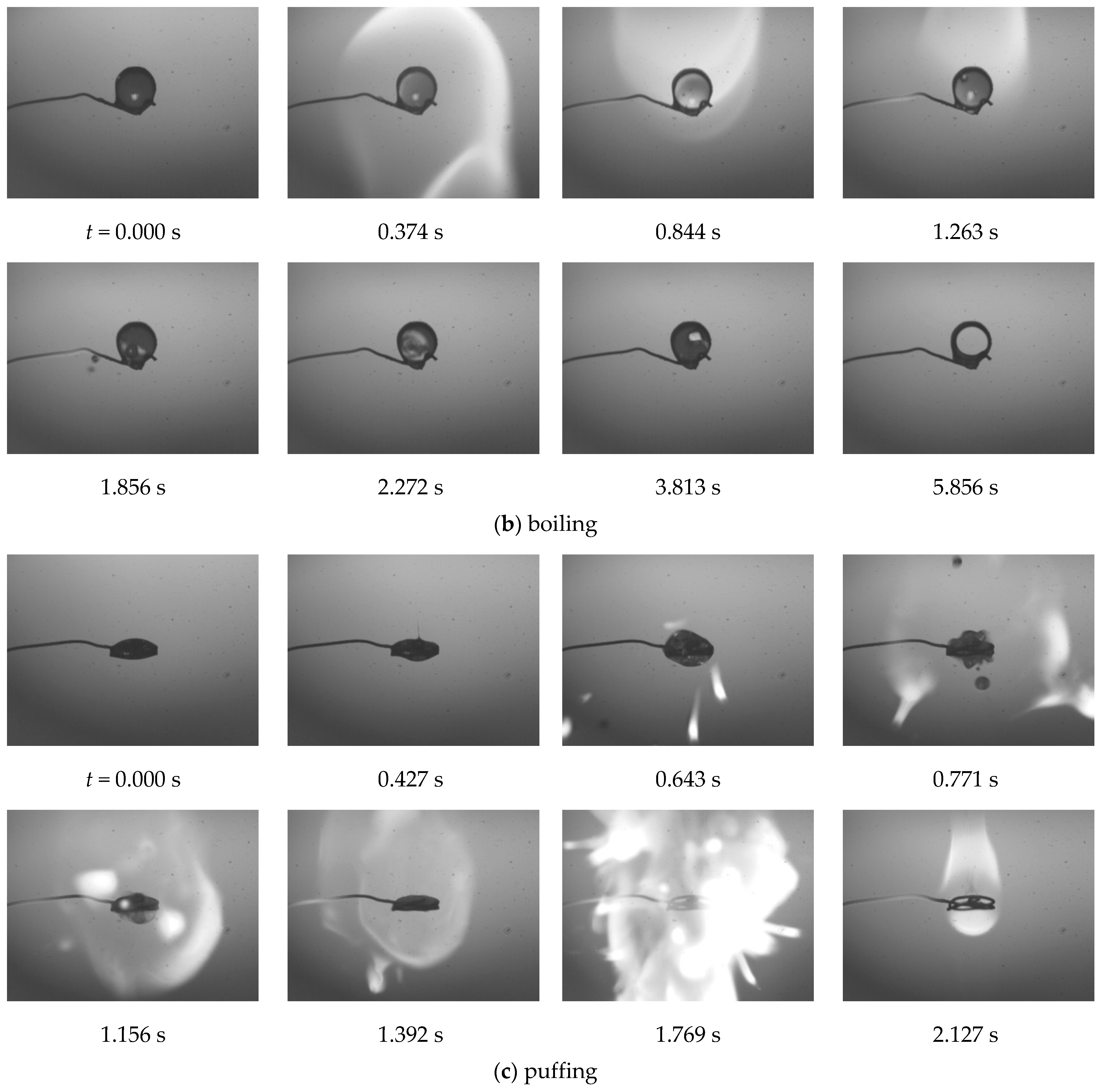 Applsci 13 01072 g003b